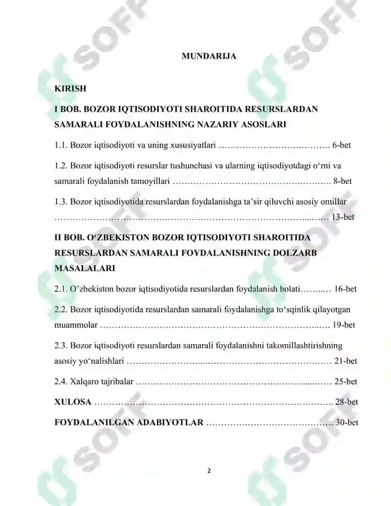 Bozor iqtisodiyoti sharoitida resurslardan samarali foydalanish muammolari 2