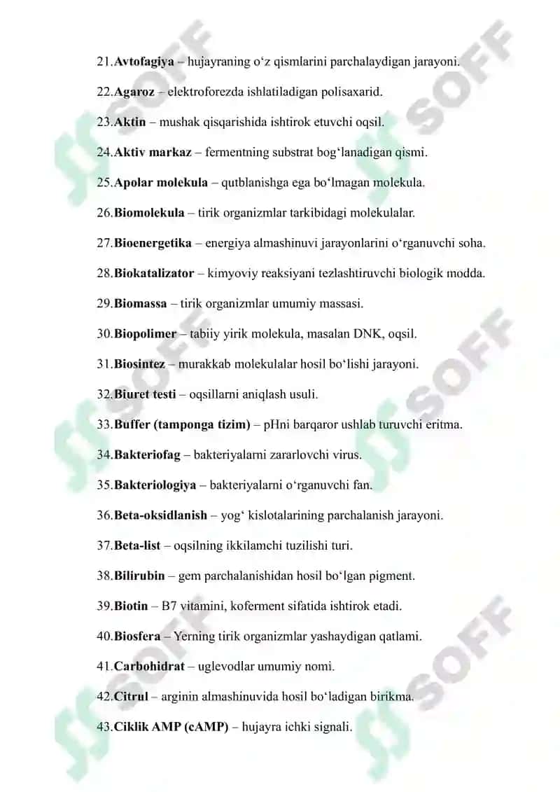 Amino kislota 2