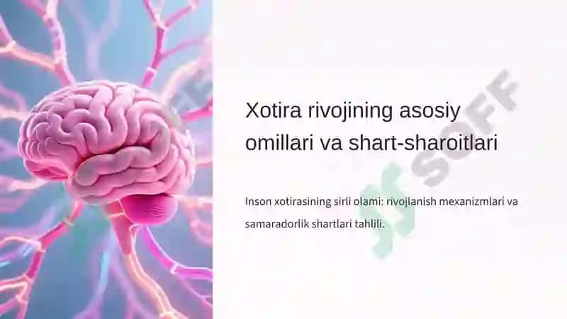 Xotira Rivojining Asosiy Omillari va Shart Sharoitlari 2