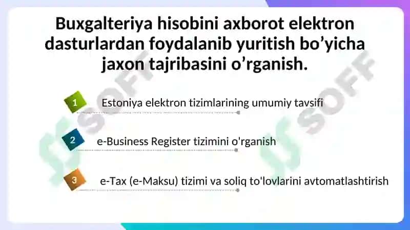 Buxgalteriya hisobini axborot elektron dasturlardan foydalanib yuritish bo’yicha jaxon tajribasi 2