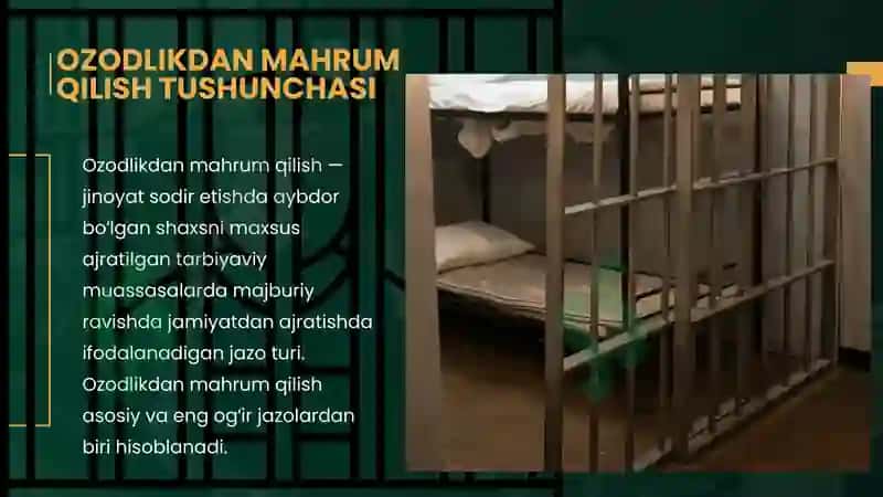 Ozodlikdan mahrum qilish 2