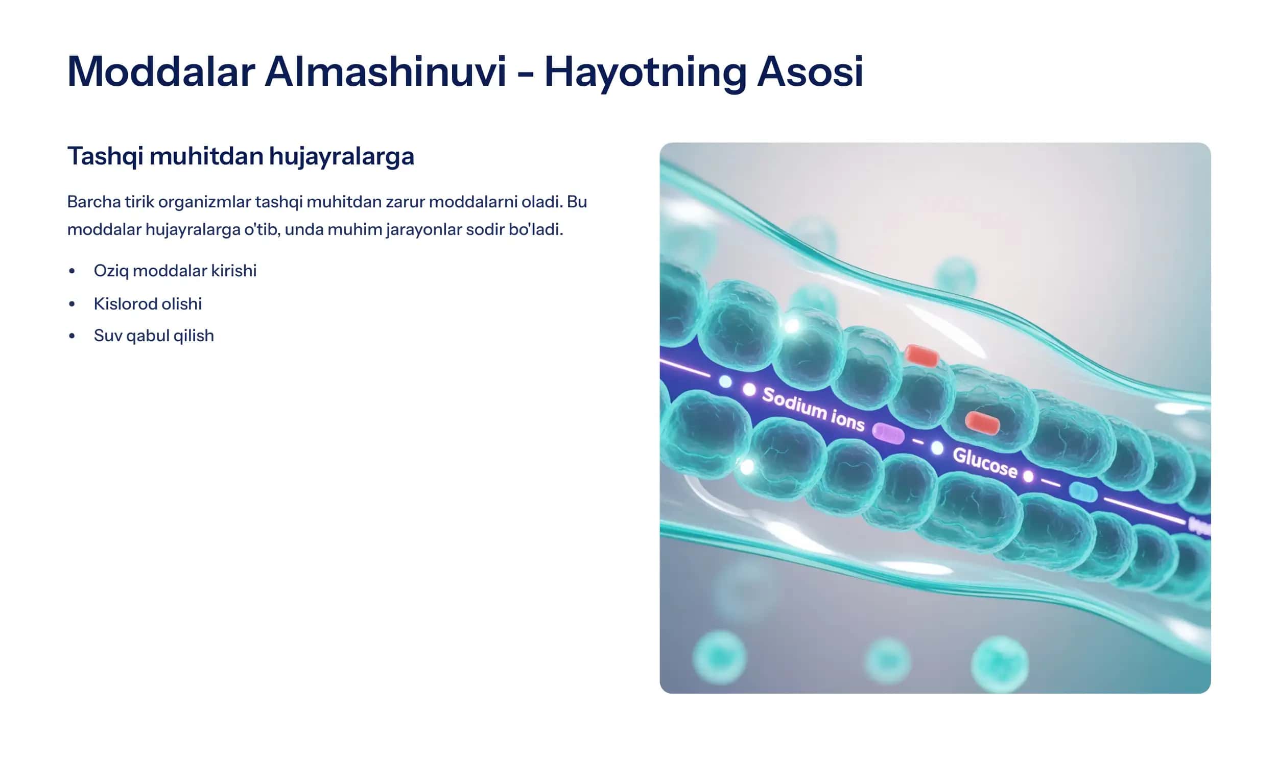 Hujayra va Organizmning Hayotiy Xossalari 2