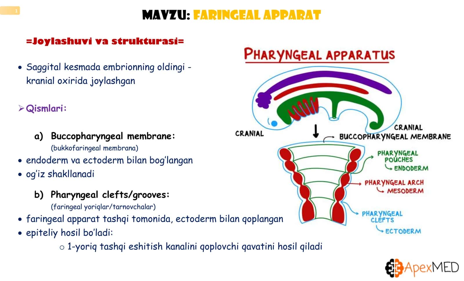 Joylashuvi va strukturasi 2