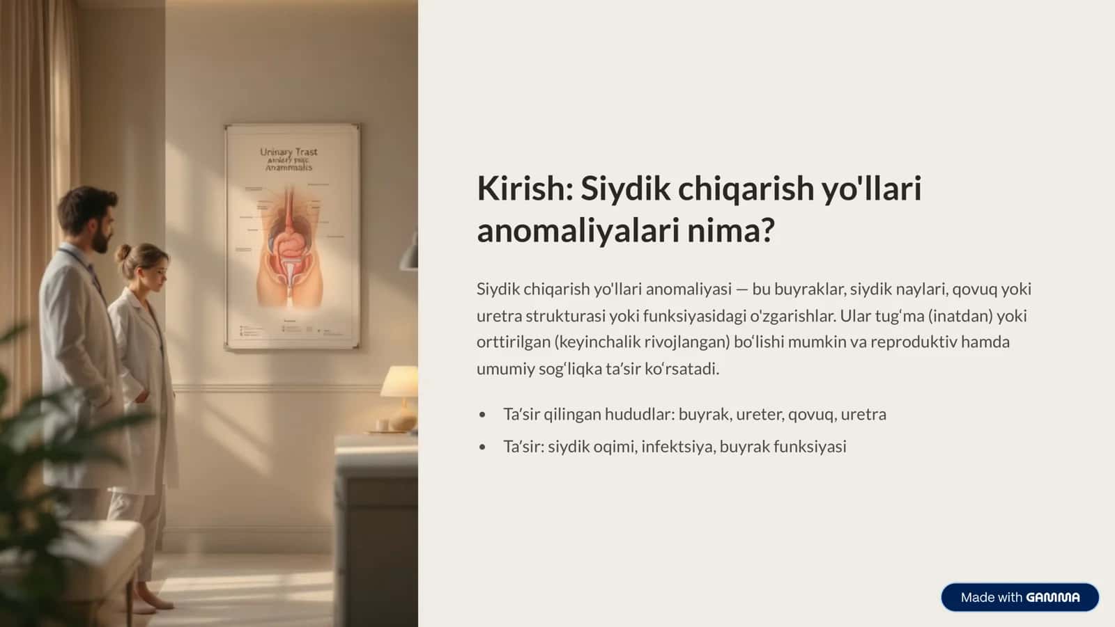 Siydik chiqarish yo'llari anomaliyalari: To'liq qo'llanma 2
