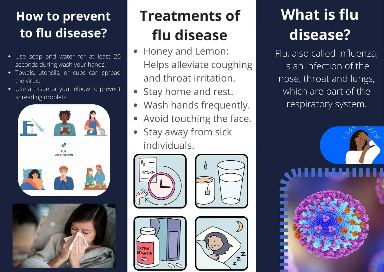 Influenza/Flu Disease 2