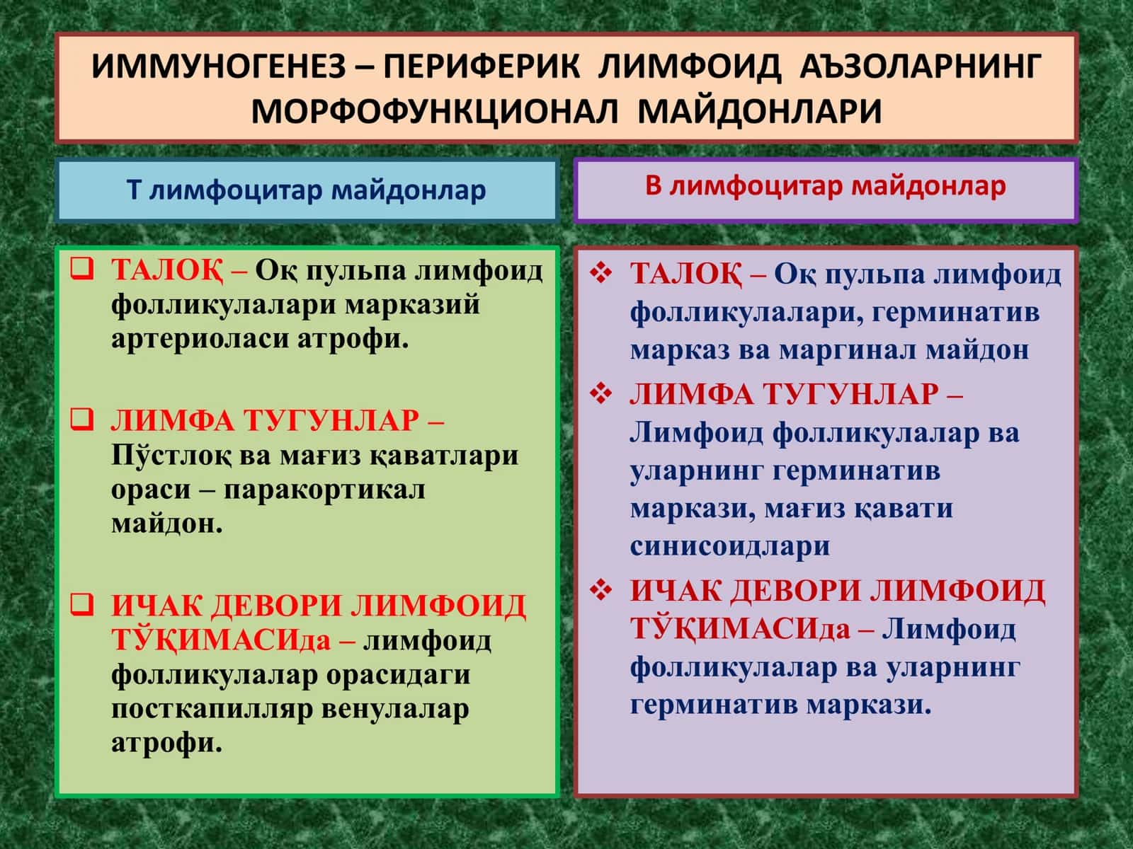 ИММУНОГЕНЕЗНИНГ СХЕМАТИК ТАСВИРИ 2