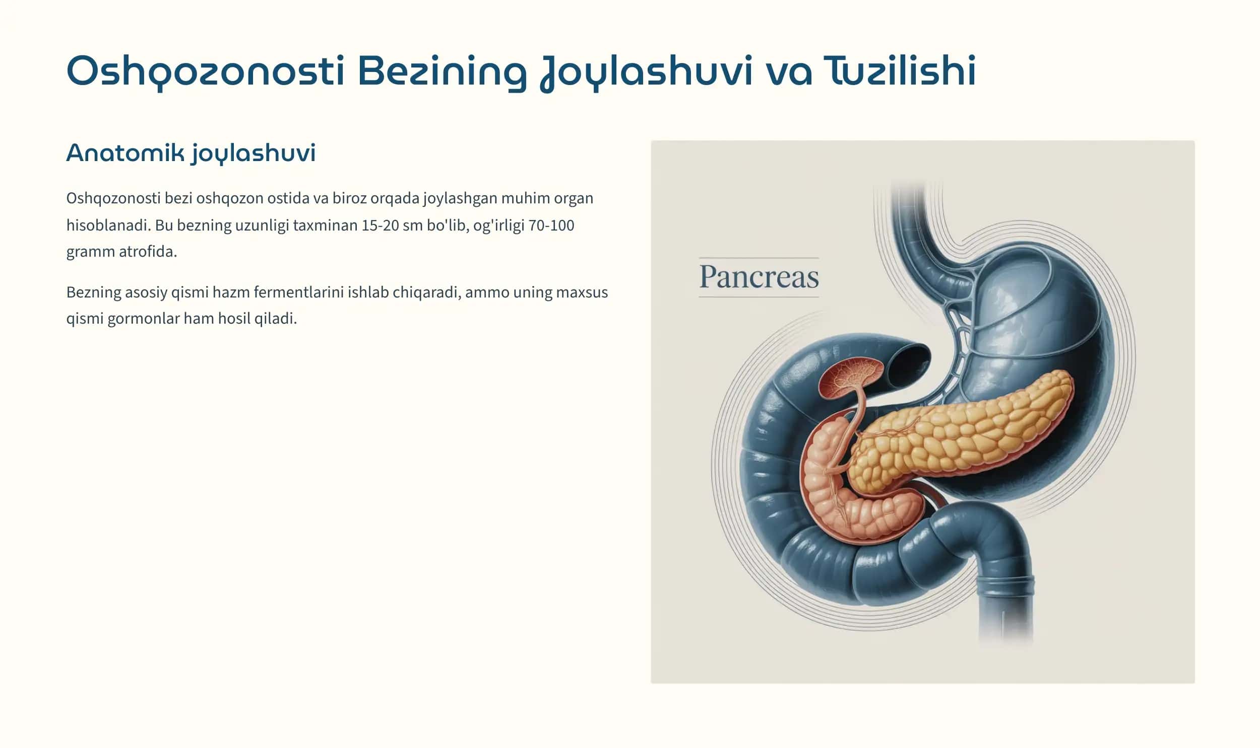 Oshqozonosti va Jinsiy Bezlar 2