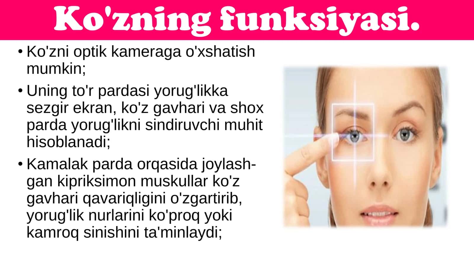 📘 🆓 8-SINF BIOLOGIYA: KO‘RISH ORGANLARINING FUNKSIYASI (TAQDIMOT) 2