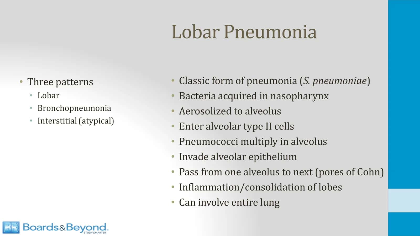 Lobar Pneumonia 2