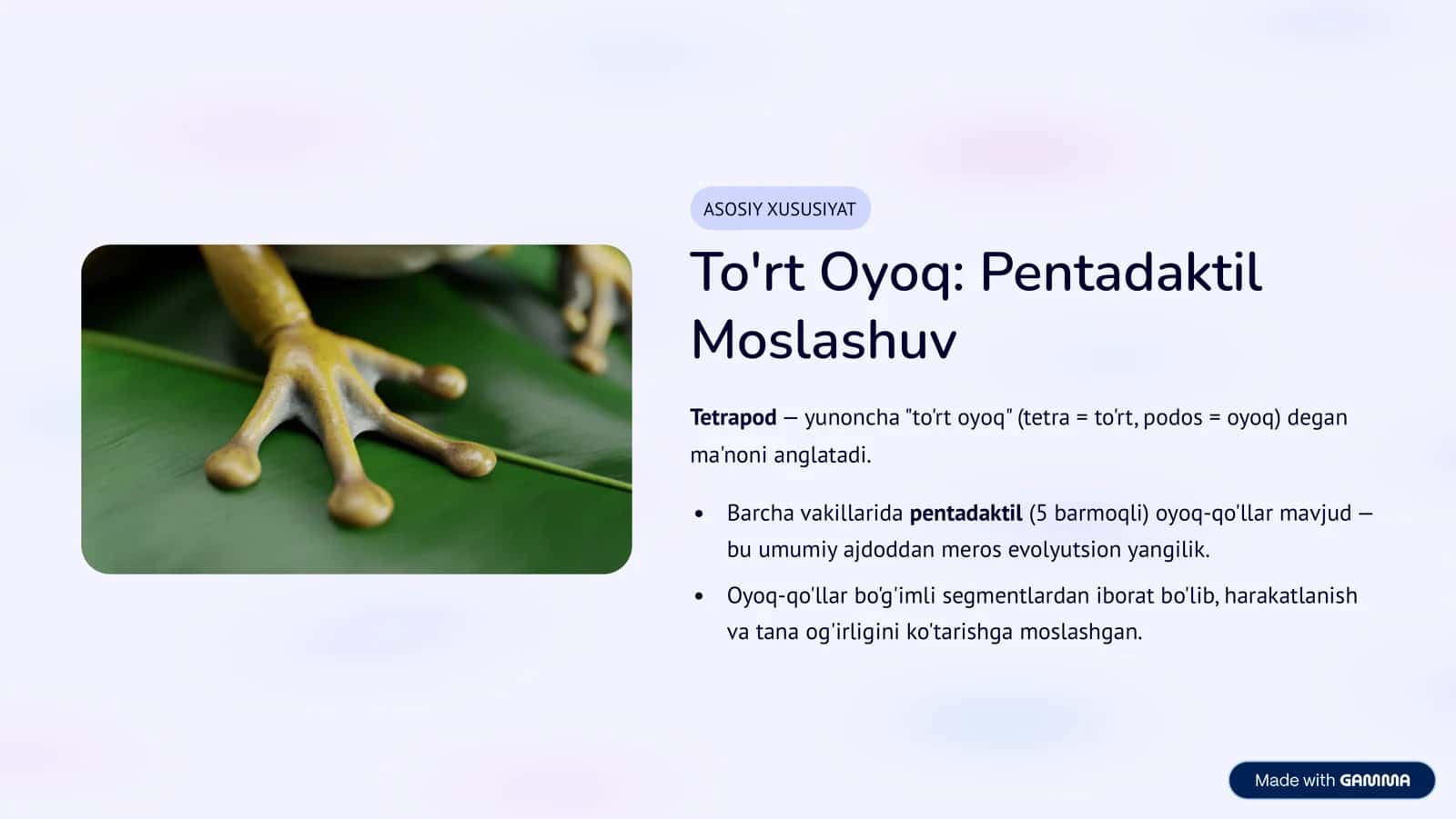 Tatrapoda: Quruqlikda Hayotga Moslashish Sirlari 3