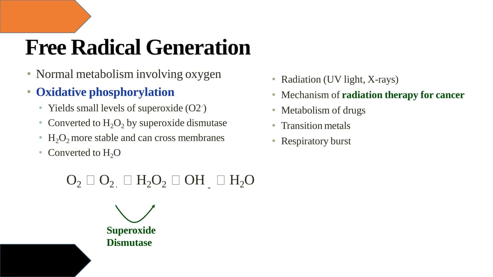 Free Radicals 3