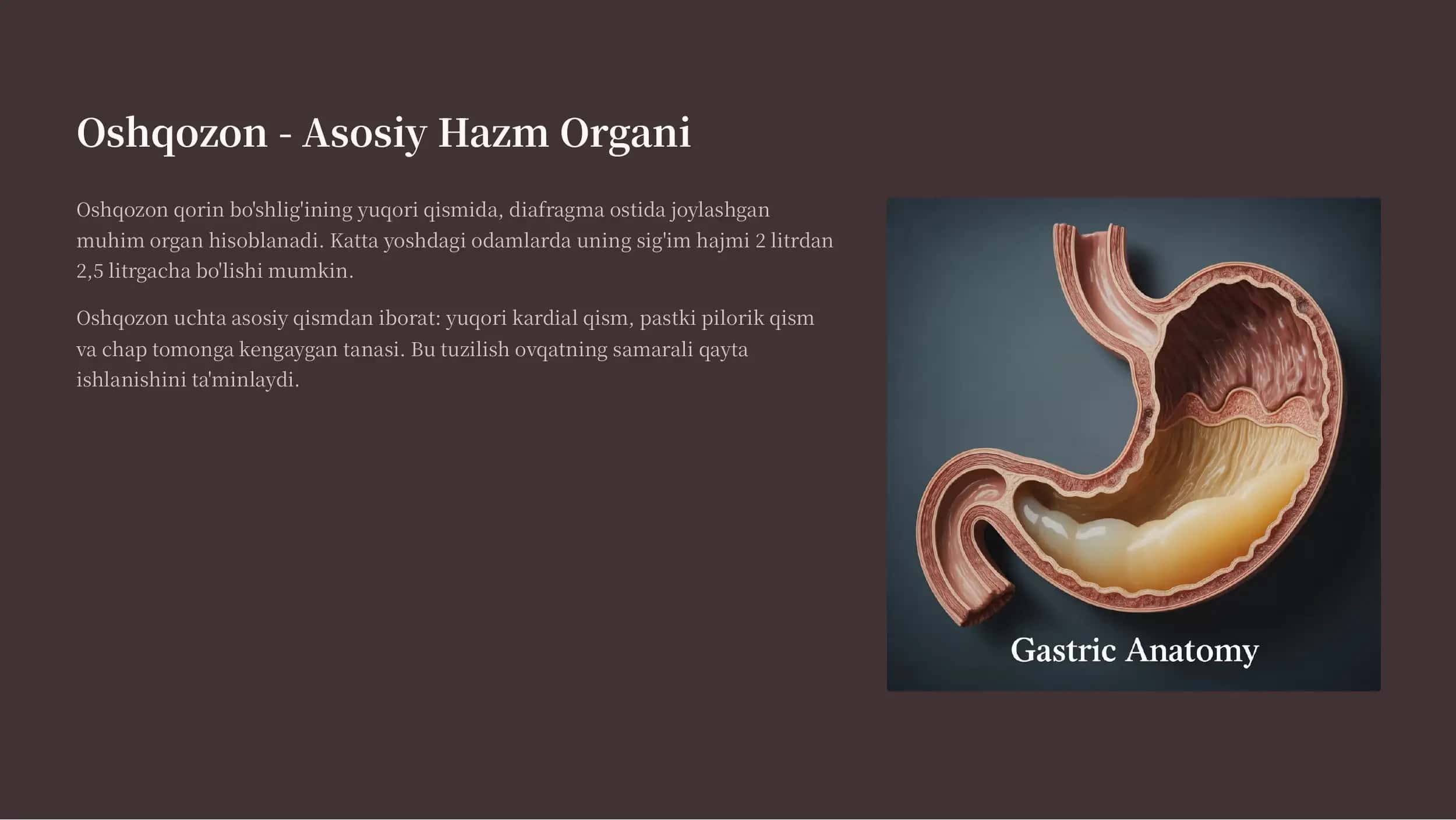 Ovqat Hazm Qilish Sistemasi Organlarining Tuzilishi va Funksiyasi 3