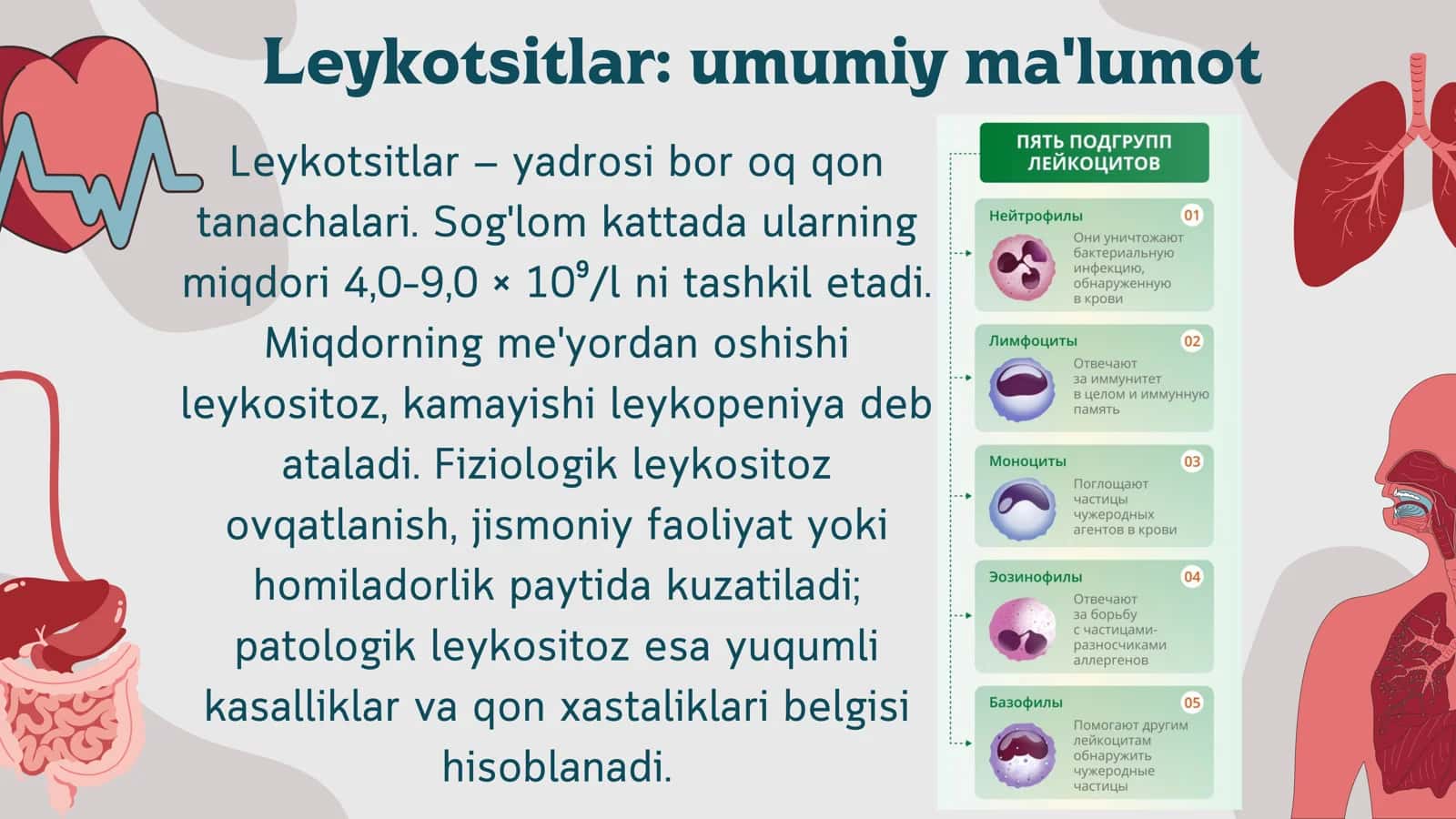 Leykotsitlar turlari va funksiyalari.Qon guruhlarini ABO sistemasida aniqlash.Qon Rezus faktorini aniqlash 3