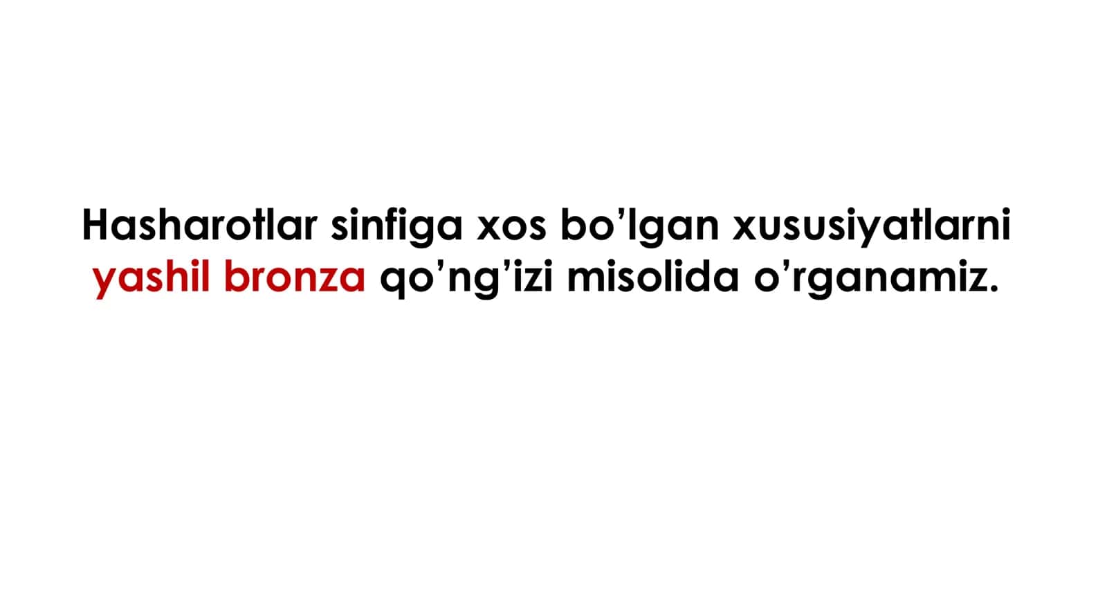 Hasharotlar sinfi 3