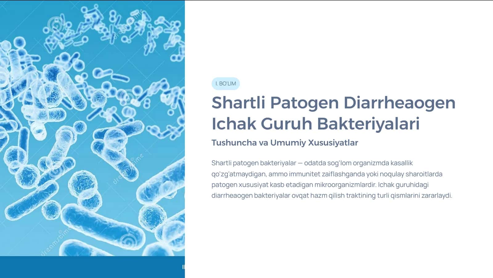 Shartli Patogen Diarrheaogen Ichak Guruh Bakteriyalari va Virusli Diareyalar Keltirib Chiqargan Kasalliklar, Laborator Tashxis va Amaliyotdagi Ahamiyati 3