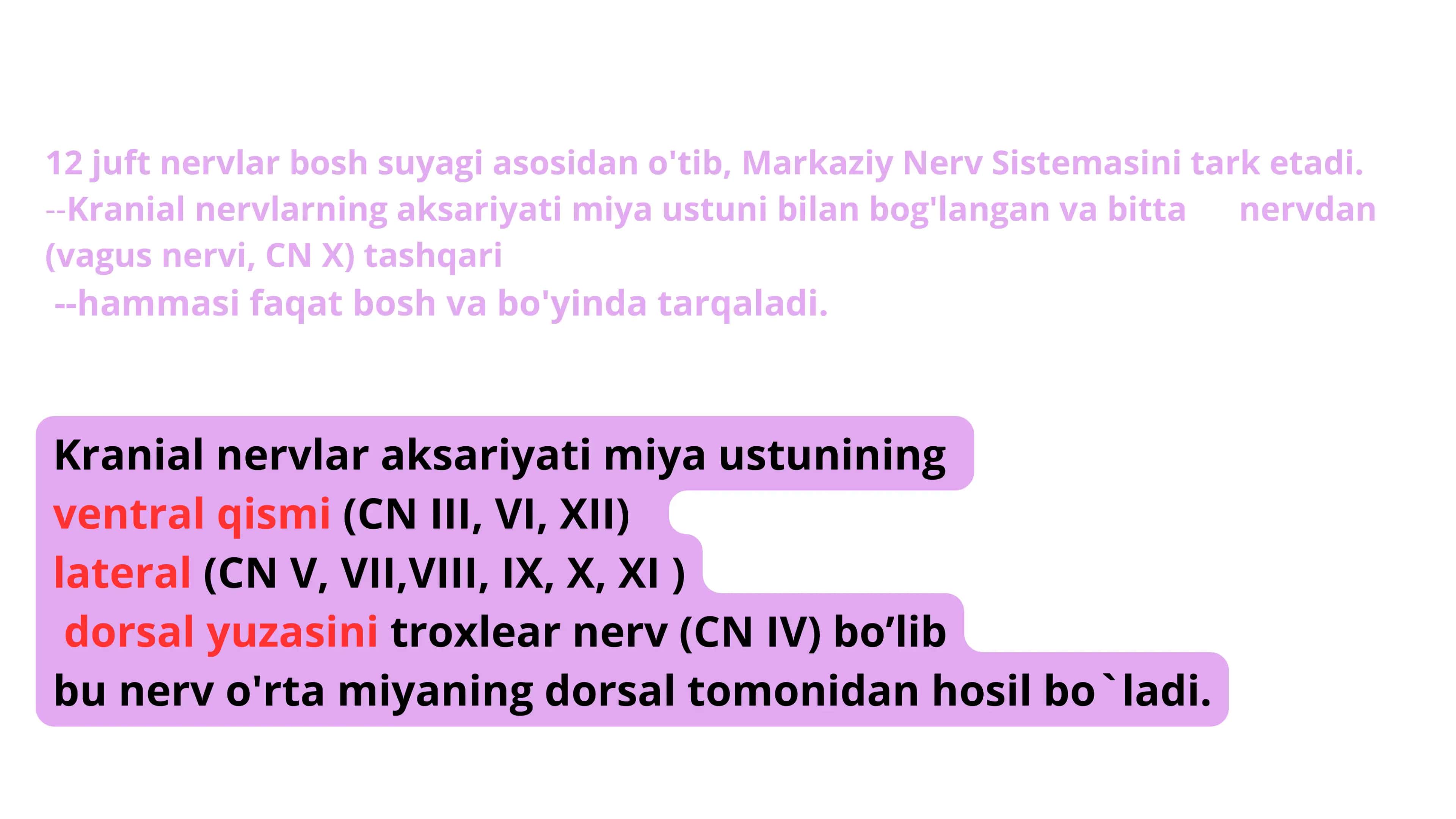 Bosh miya nervlari 3