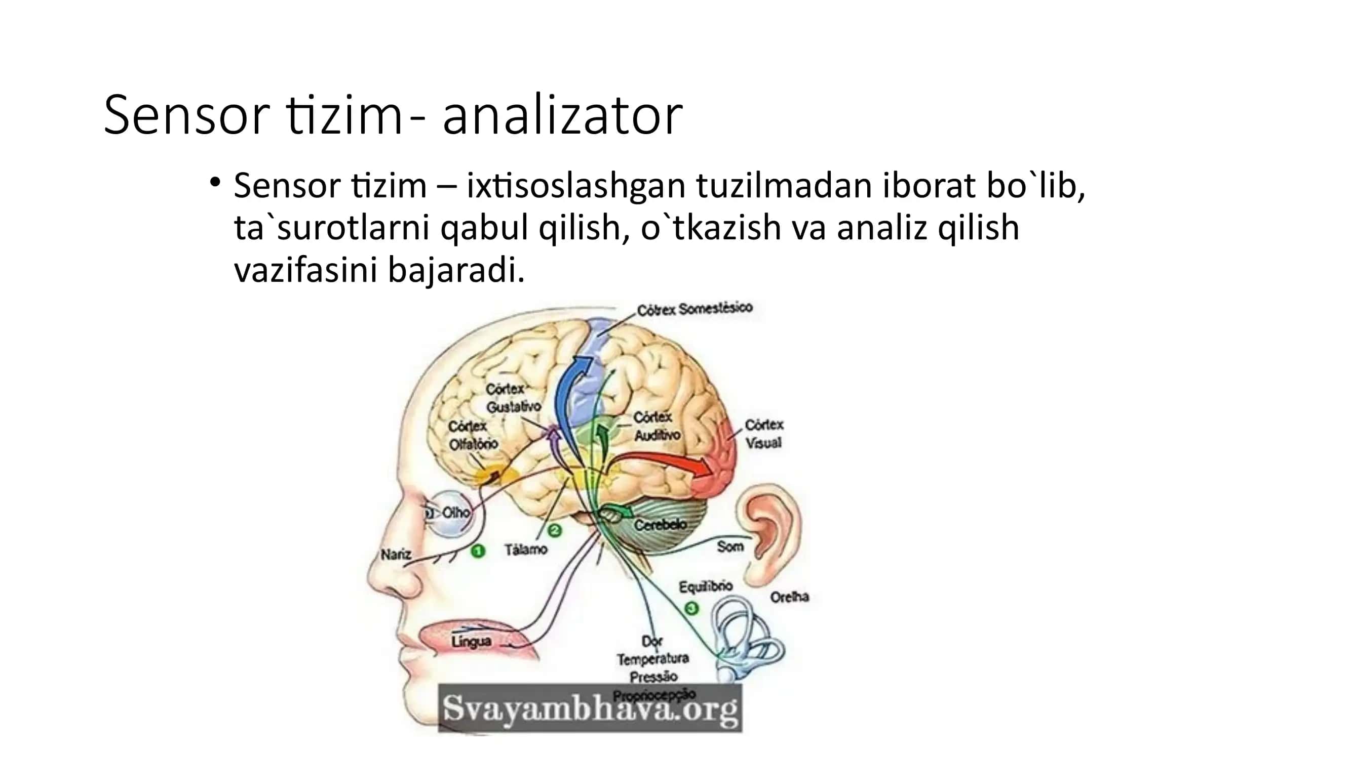 Sensor Tizim - Analizator 3