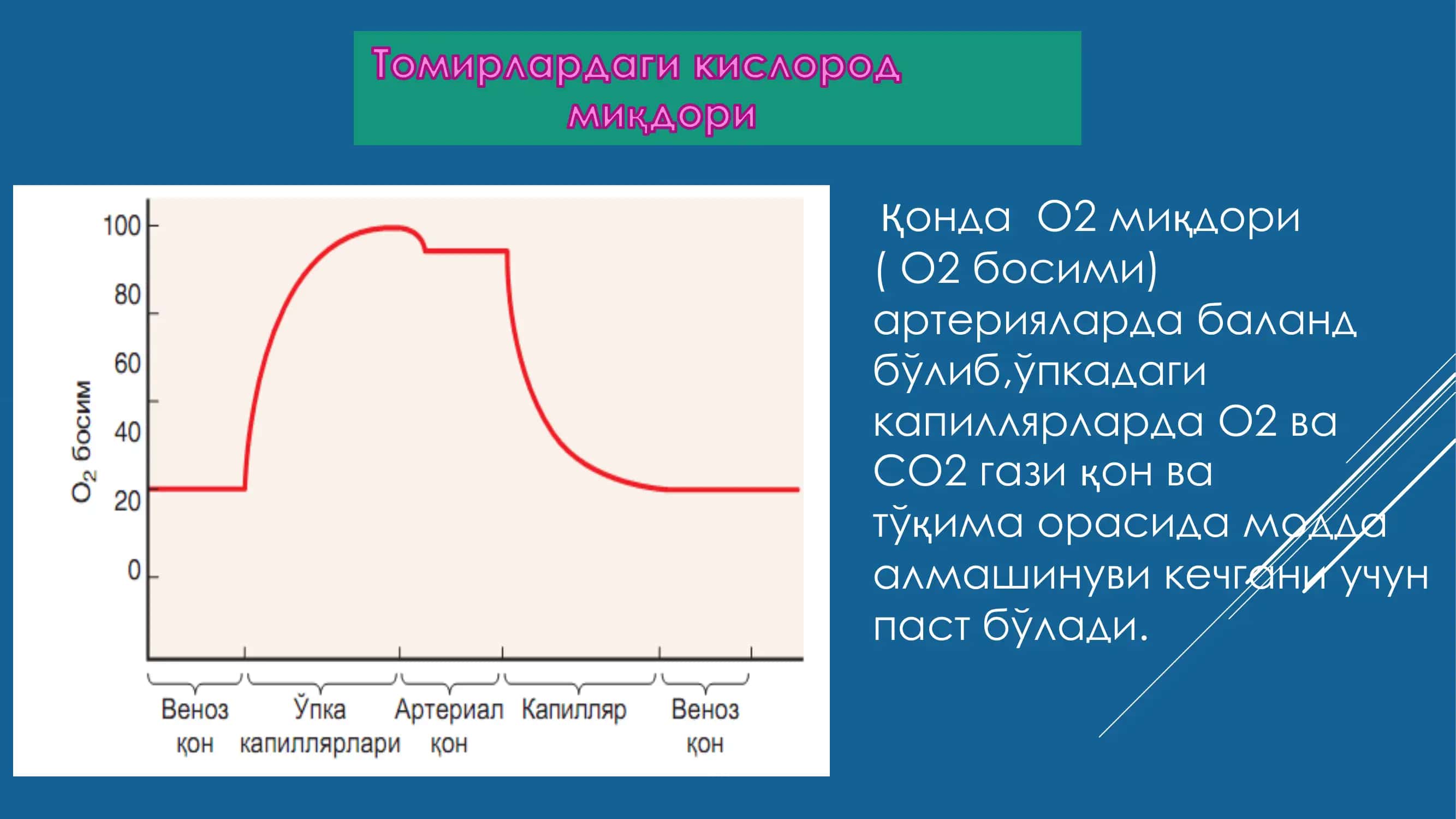 Fiziologiya: qon( trombotsit, eritrotsit va leykotsitlar) 3