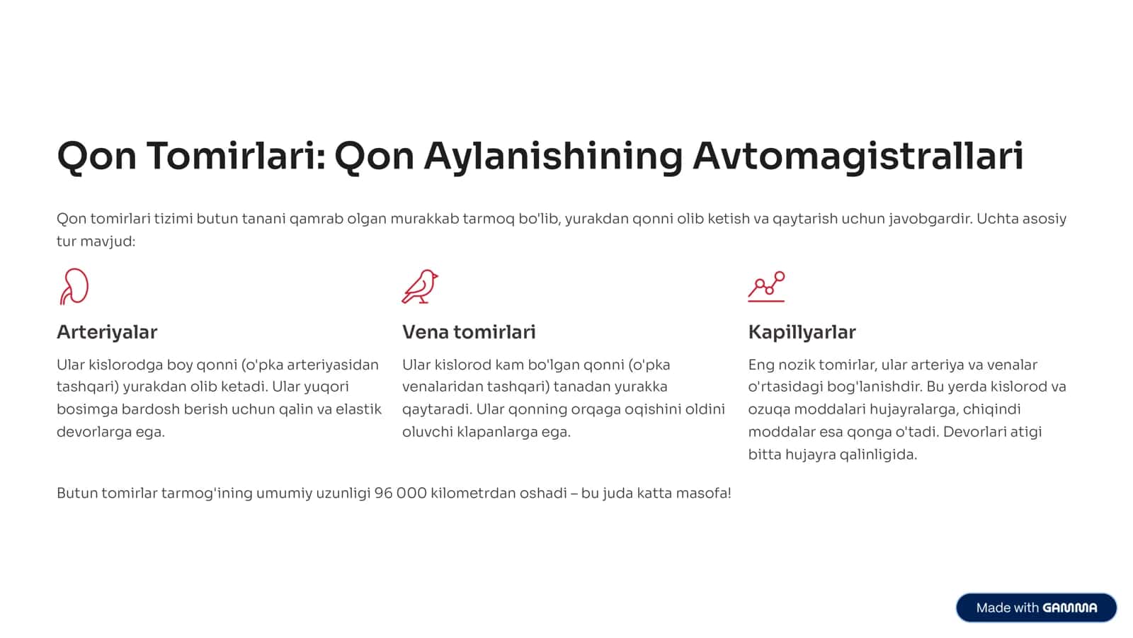 Yurak va Qon Tomirlari Tizimi: Inson Hayotining Markaziy Bog'lanishi 3