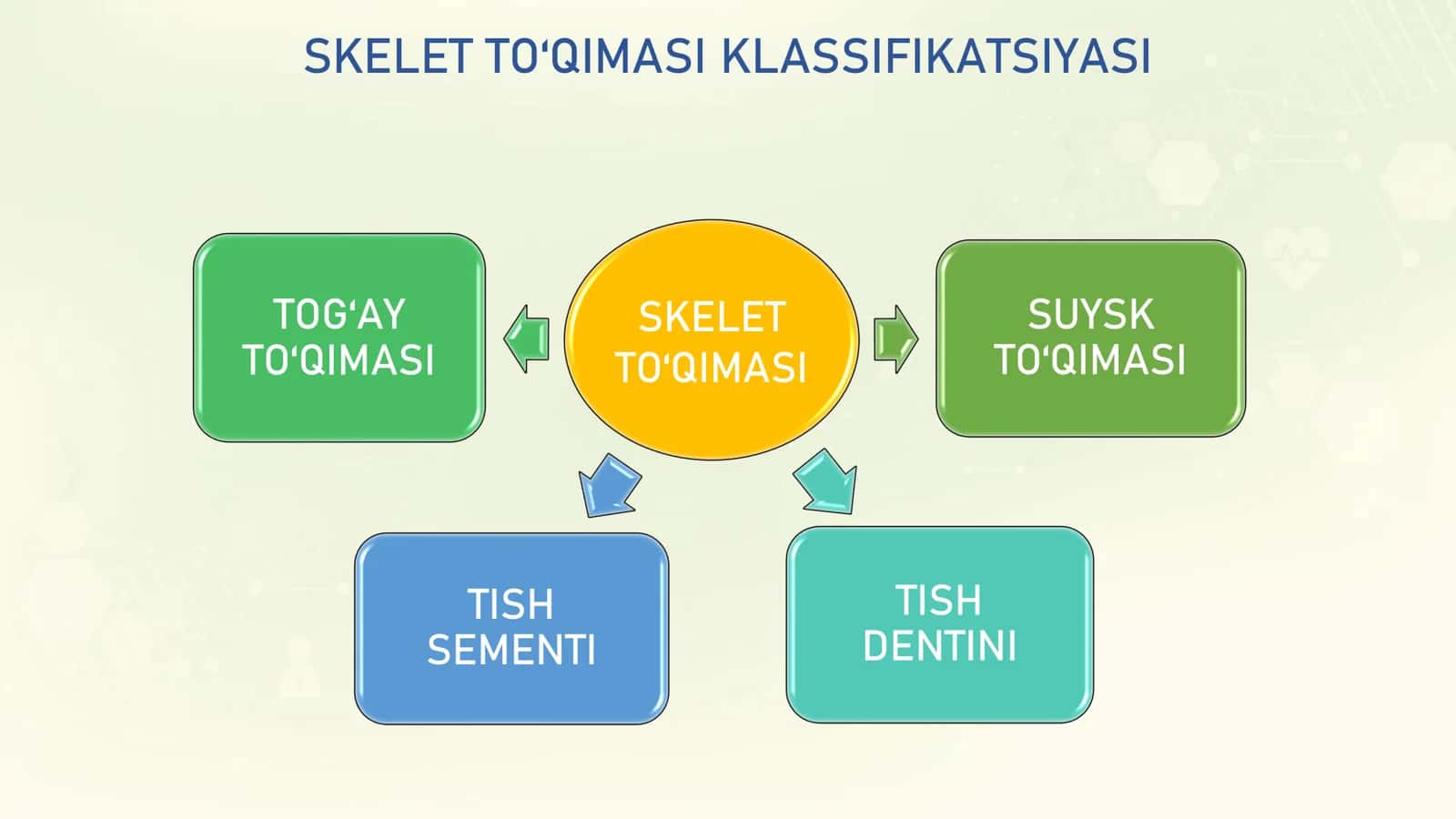 GISTOLOGIYA VA TIBBIY BIOLOGIYA KAFEDRASI 3