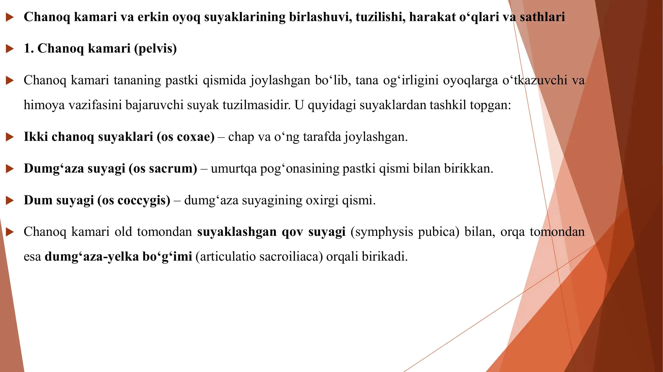 Chanoq kamari va erkin oyoq suyaklari 3