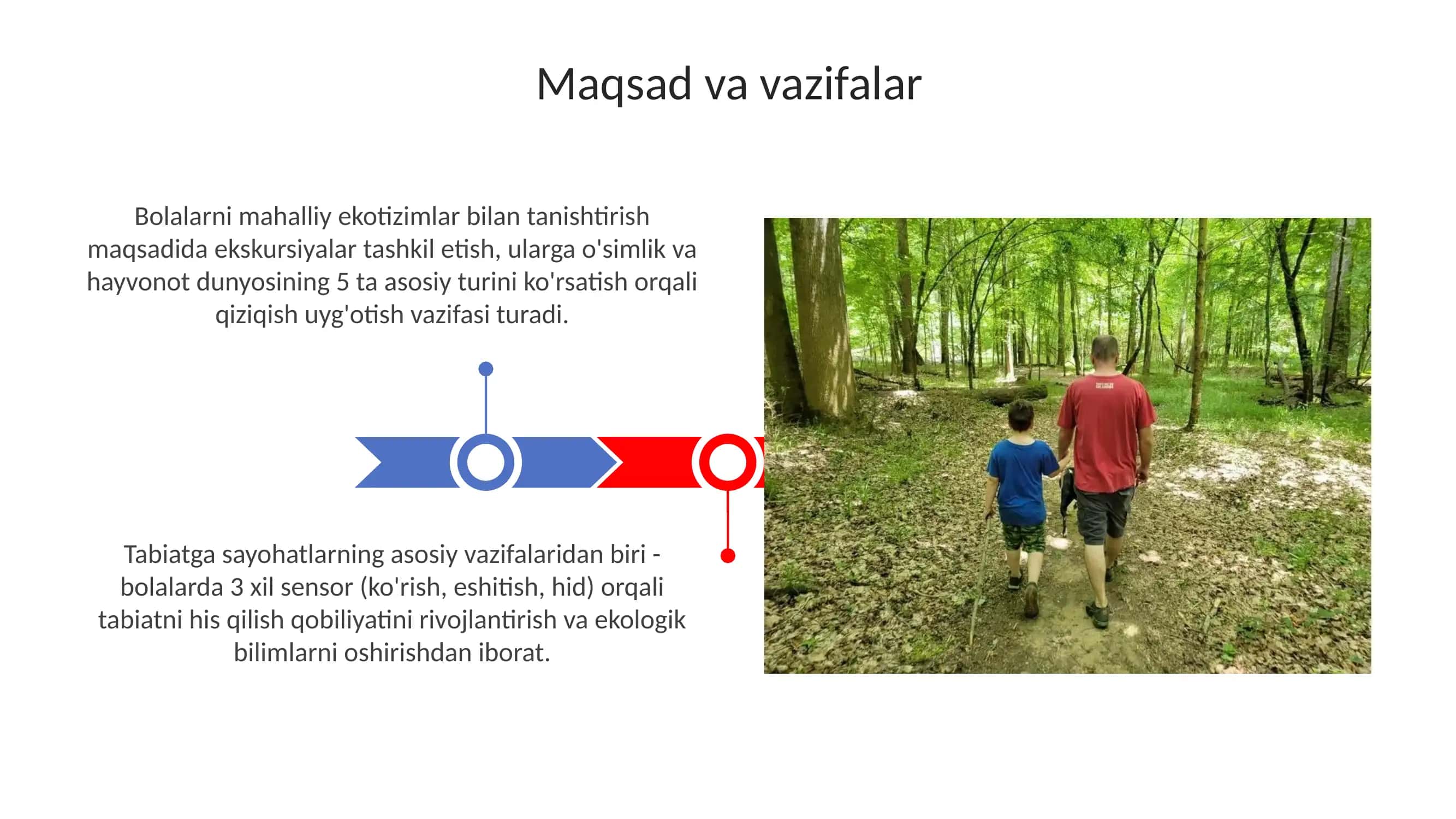 Bolalarni tabiat bilan  tanishtirish  ekskursiya va  sayrlarni tashkil etish 3