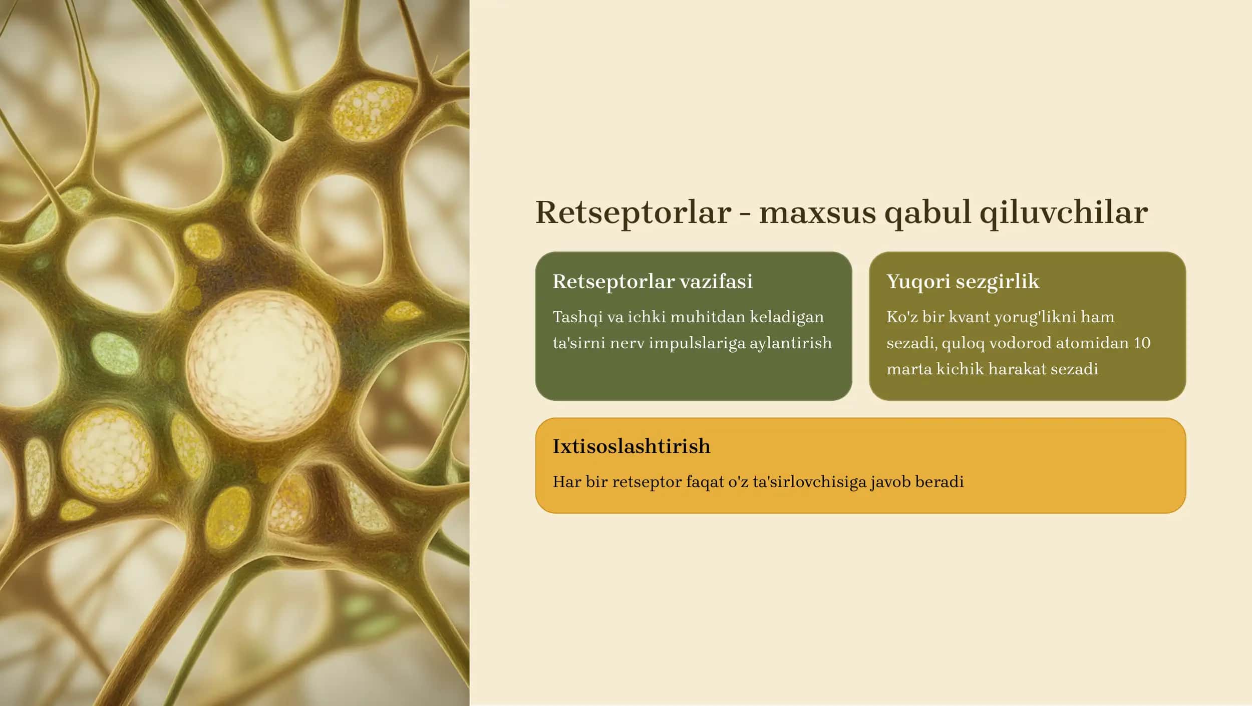 Sezgi Organlarining Ahamiyati 3