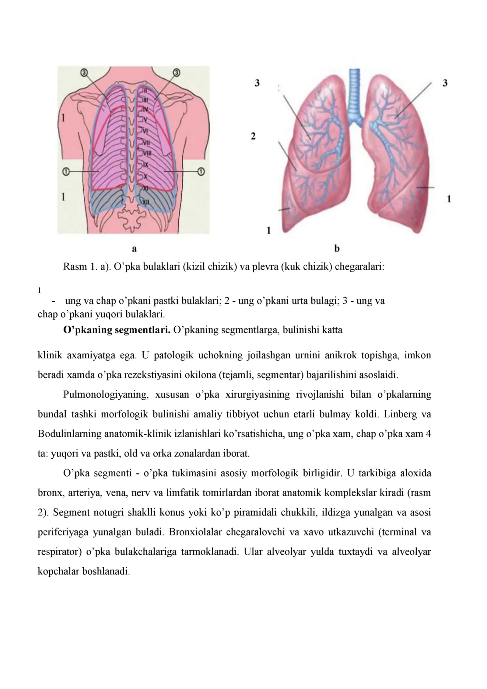 Ko’krak qafasi organlarining ochiq va yopiq jaroxatlanishi. Gemotoraks. Pnevmotoraks 3