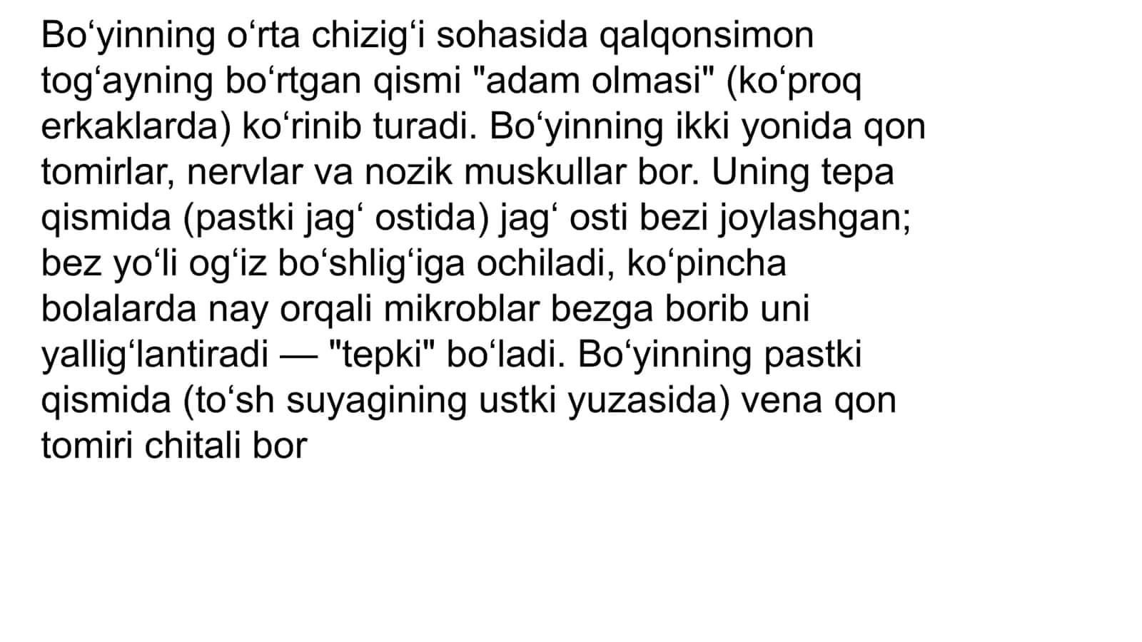 Boʻyin mushaklari fiziologiyasi 3