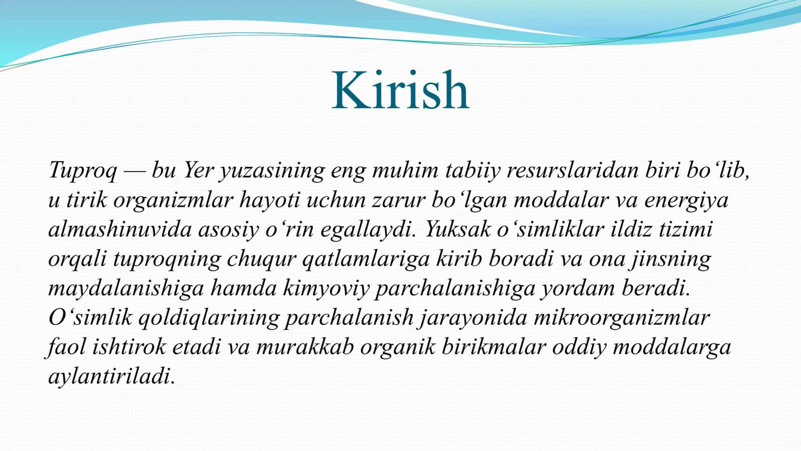 Tuproq paydo bo‘lishida yuksak o‘simliklarning roli 3