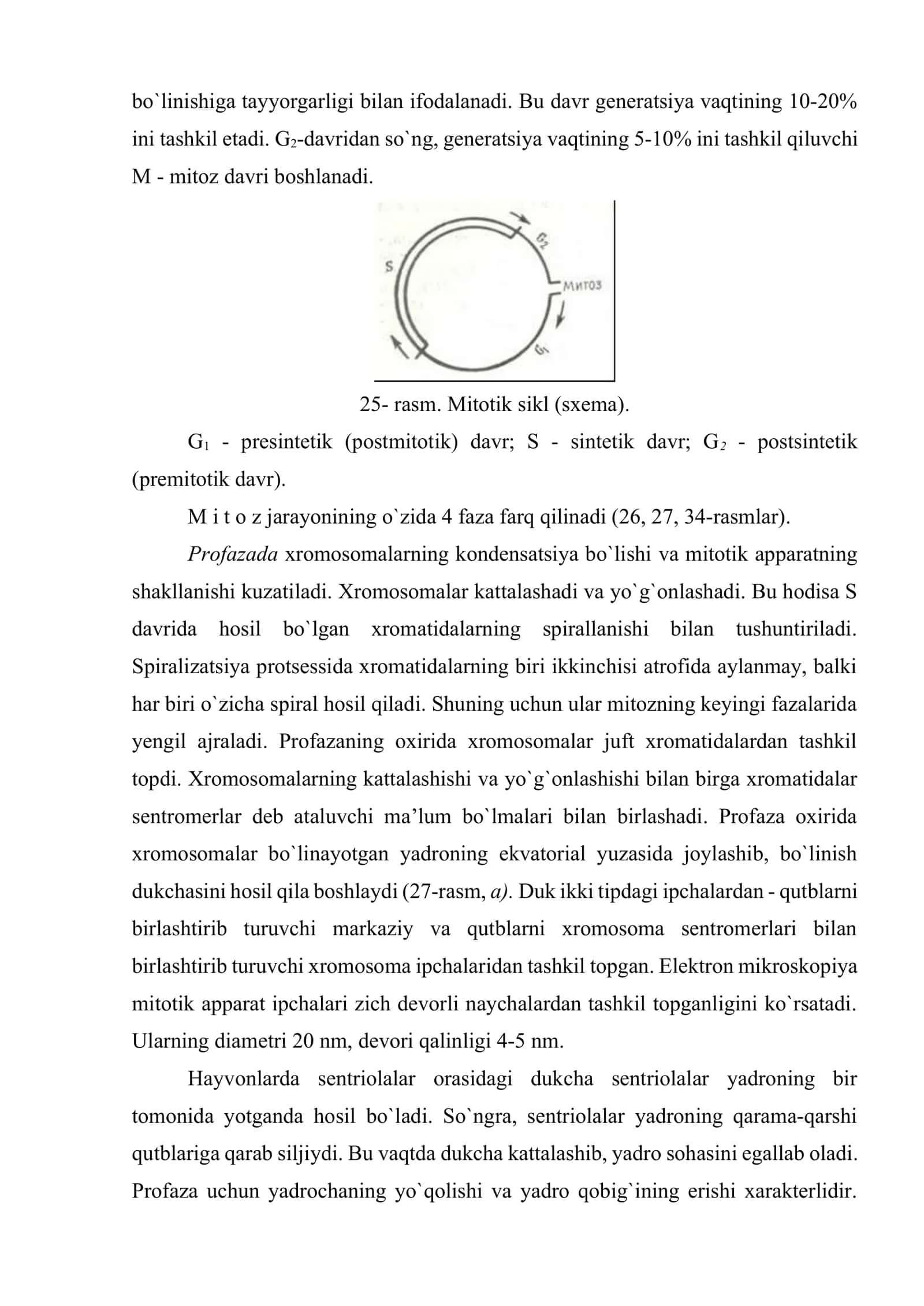 Hujayralarning bo`linishi 3