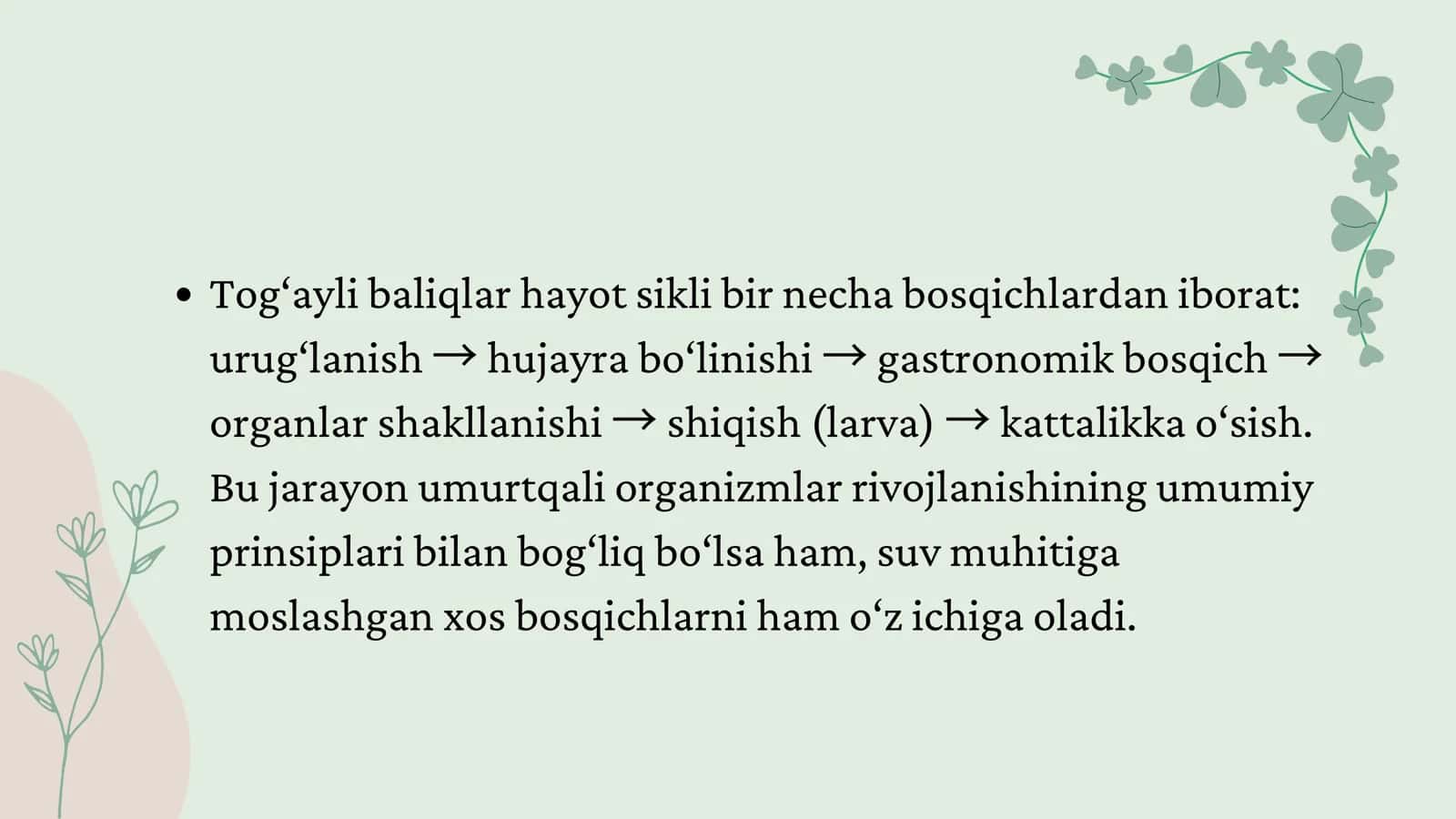 Tog'ayli baliqlarning individual rivojlanishi 3