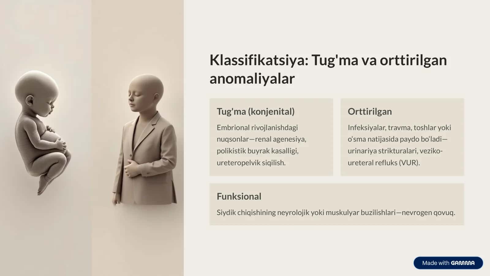 Siydik chiqarish yo'llari anomaliyalari: To'liq qo'llanma 3