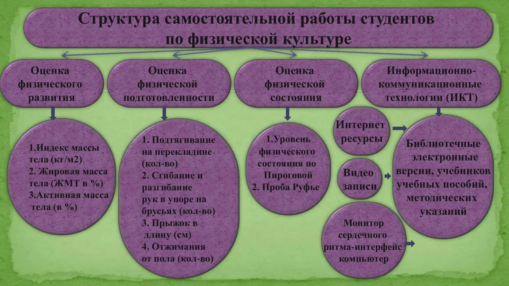 СТРУКТУРА САМОСТОЯТЕЛЬНОЙ РАБОТЫ СТУДЕНТОВ ПО ФИЗИЧЕСКОЙ КУЛЬТУРЕ 3
