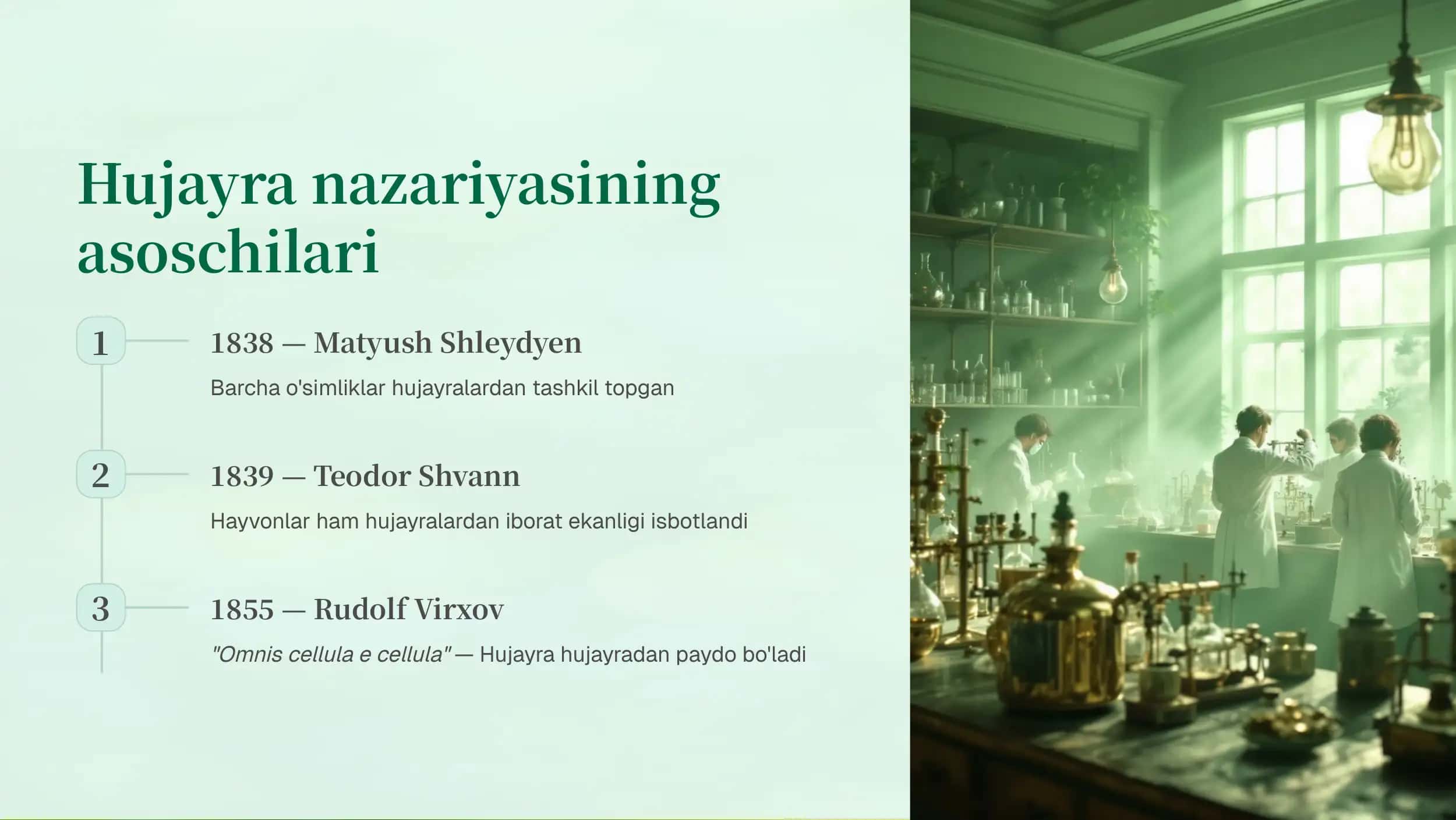 Hujayra nazariyasining boshlanishi. Mikroskop yordamida yog'och bo'lagi tuzilishini kuzatish 3