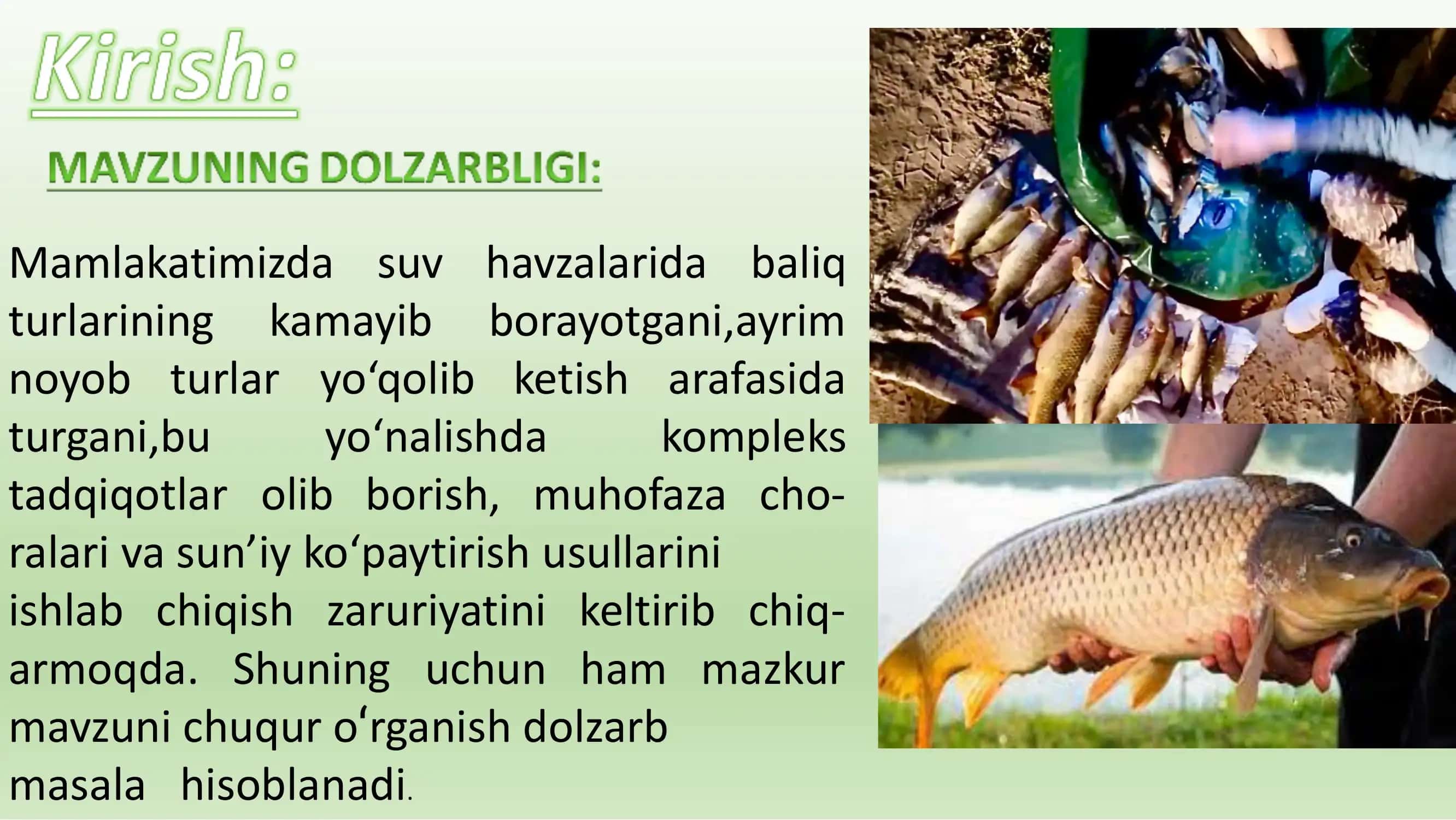O'zbekistonda uchraydigan baliqlar tur tarkibi va ularning tarqalishi 3