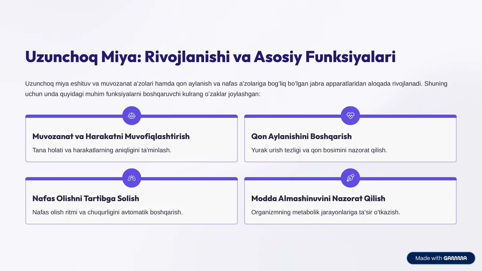 Bosh Miya So»g»oni: Anatomiyasi va Vazifalari 3