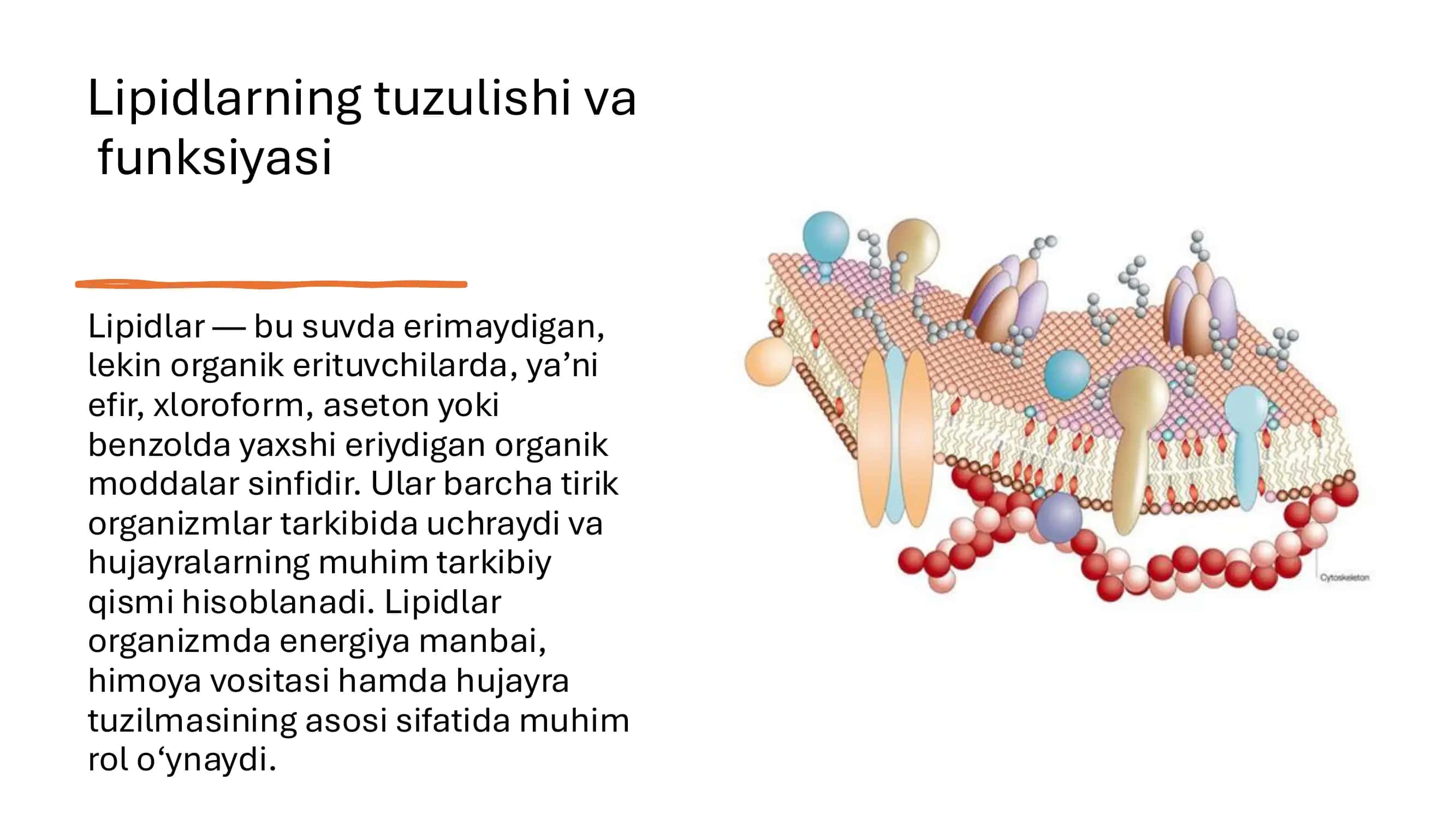 8 mavzu surunkali gepatit 3