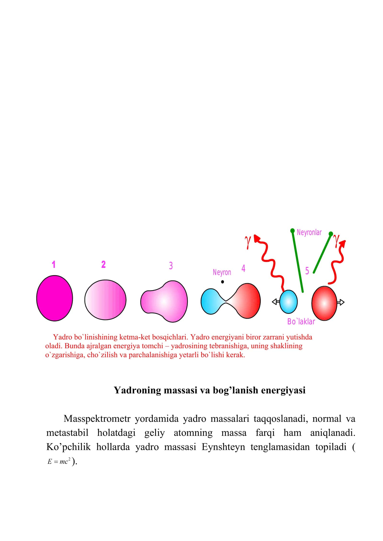 Yadroning tomchi modeli. Yadro massasi va bog`lanish energiyasi 3