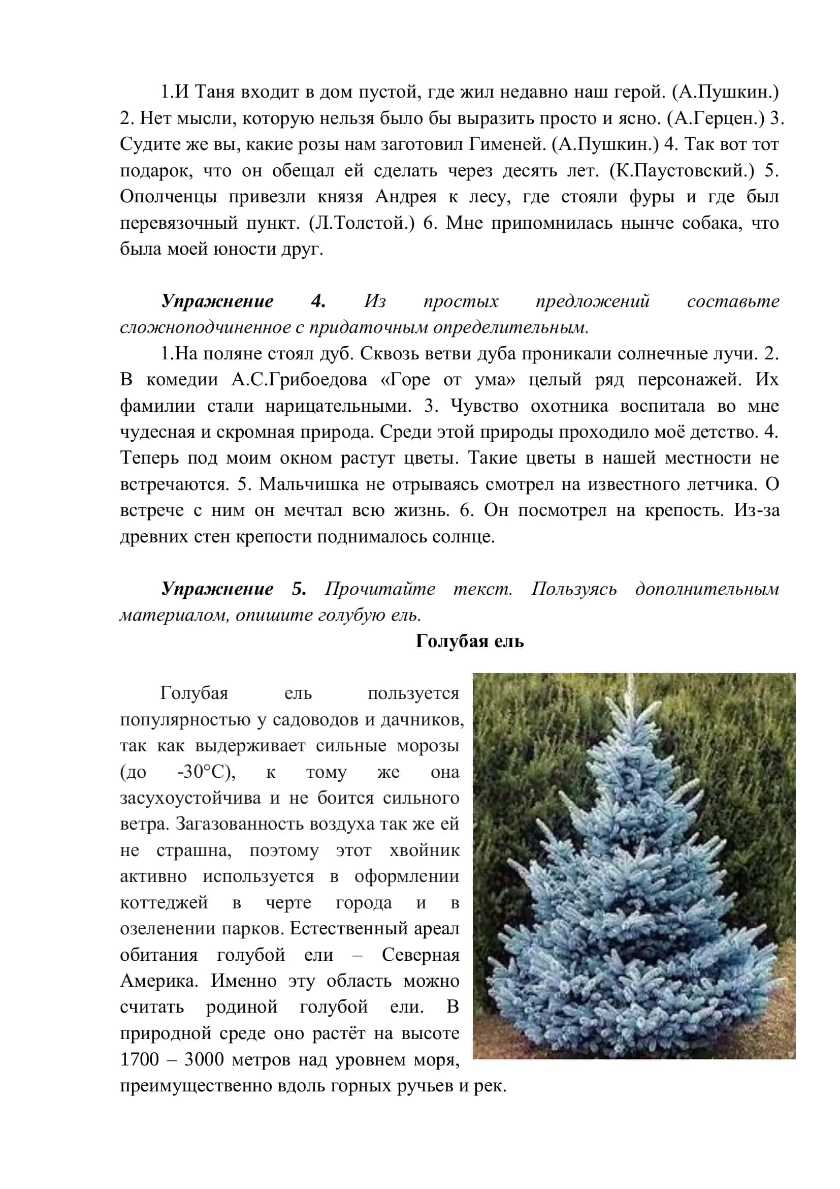 ВИДЫ И ЖАНРЫ ИСКУССТВА 3