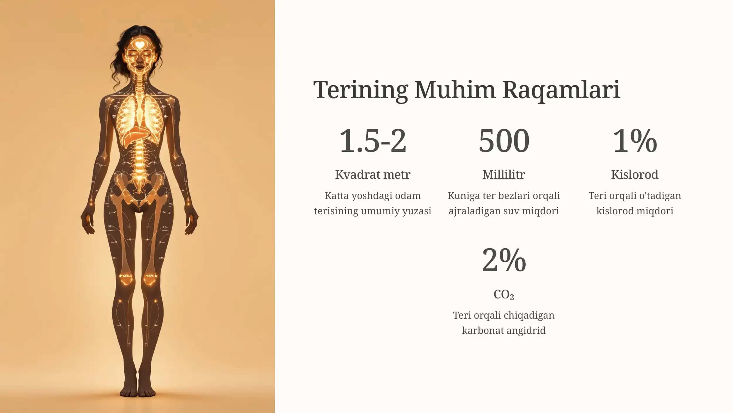 Teri: Tananing Himoyachi Qobig'i 3
