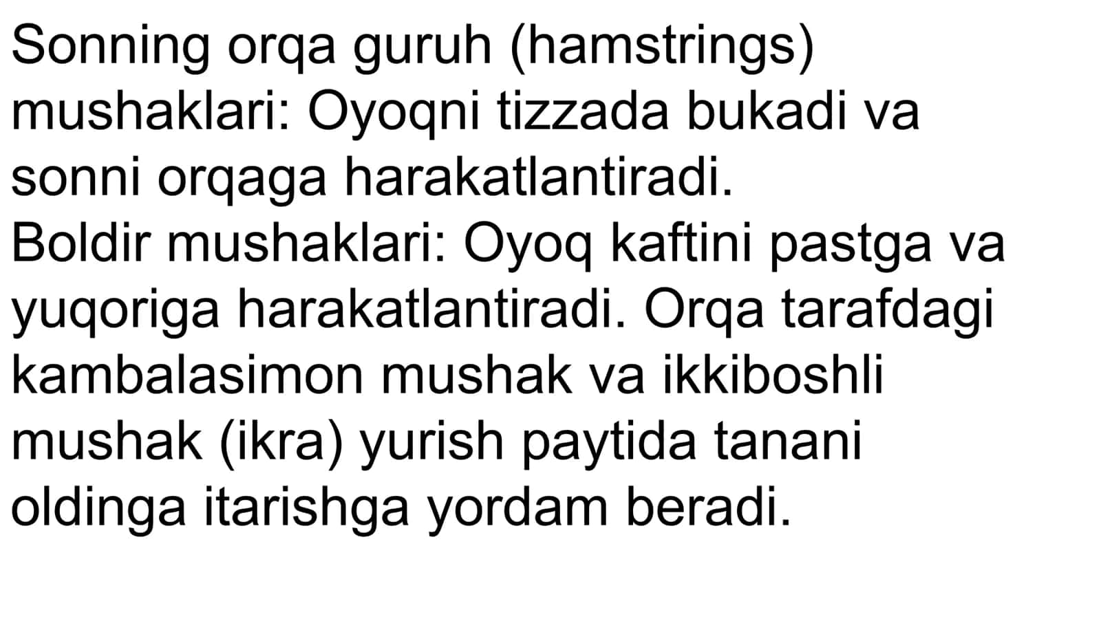 Oyoq mushaklari 3