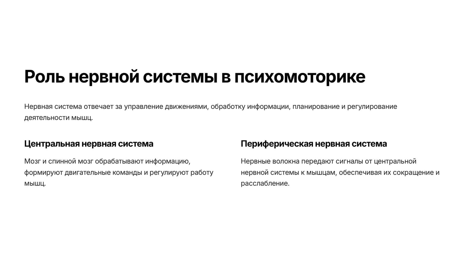Психомоторика человека 3