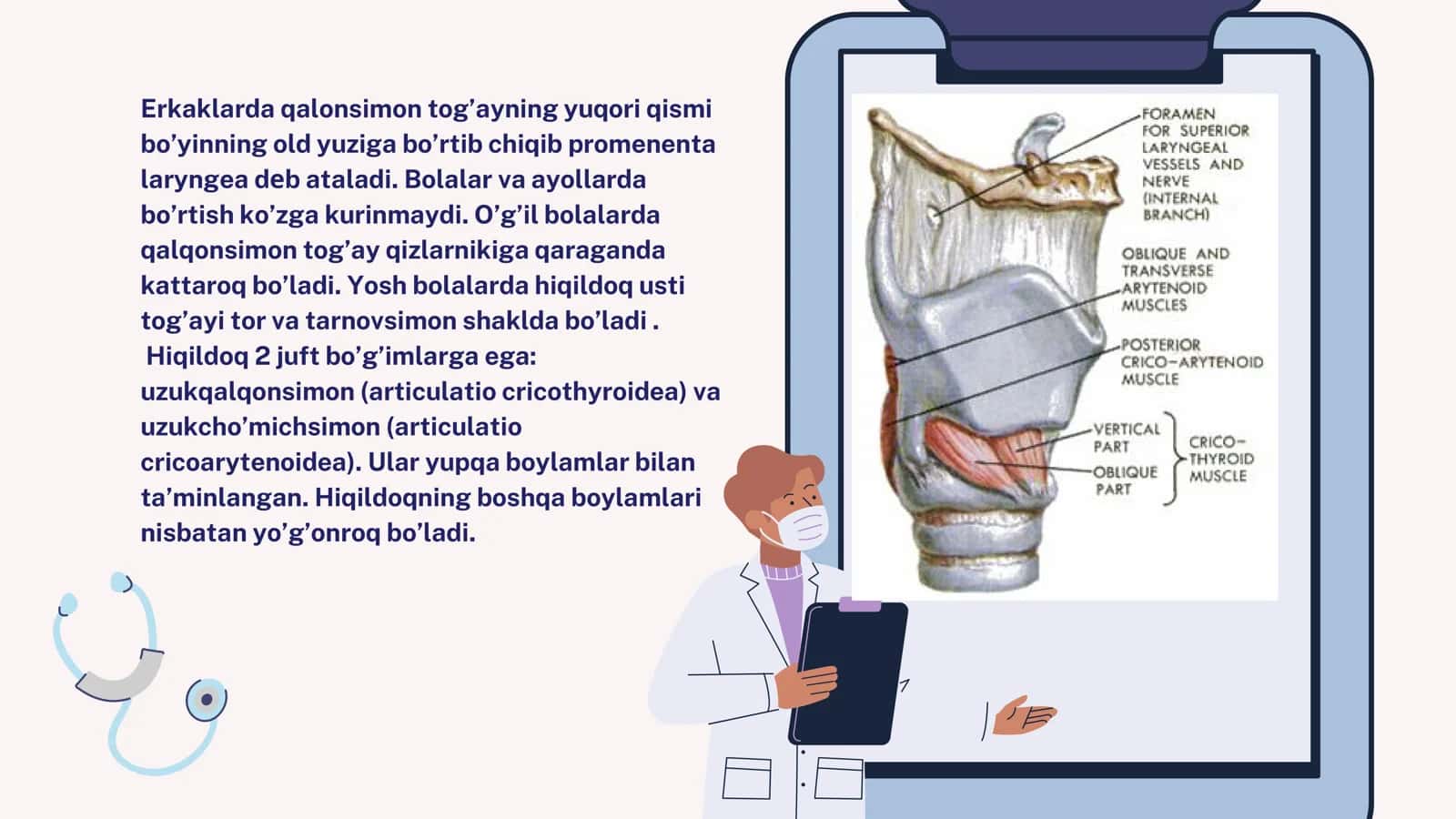 Hiqildoqning klinik anatomiyasi, fiziologiyasi, muskullari va qon bilan taminlanishi 3