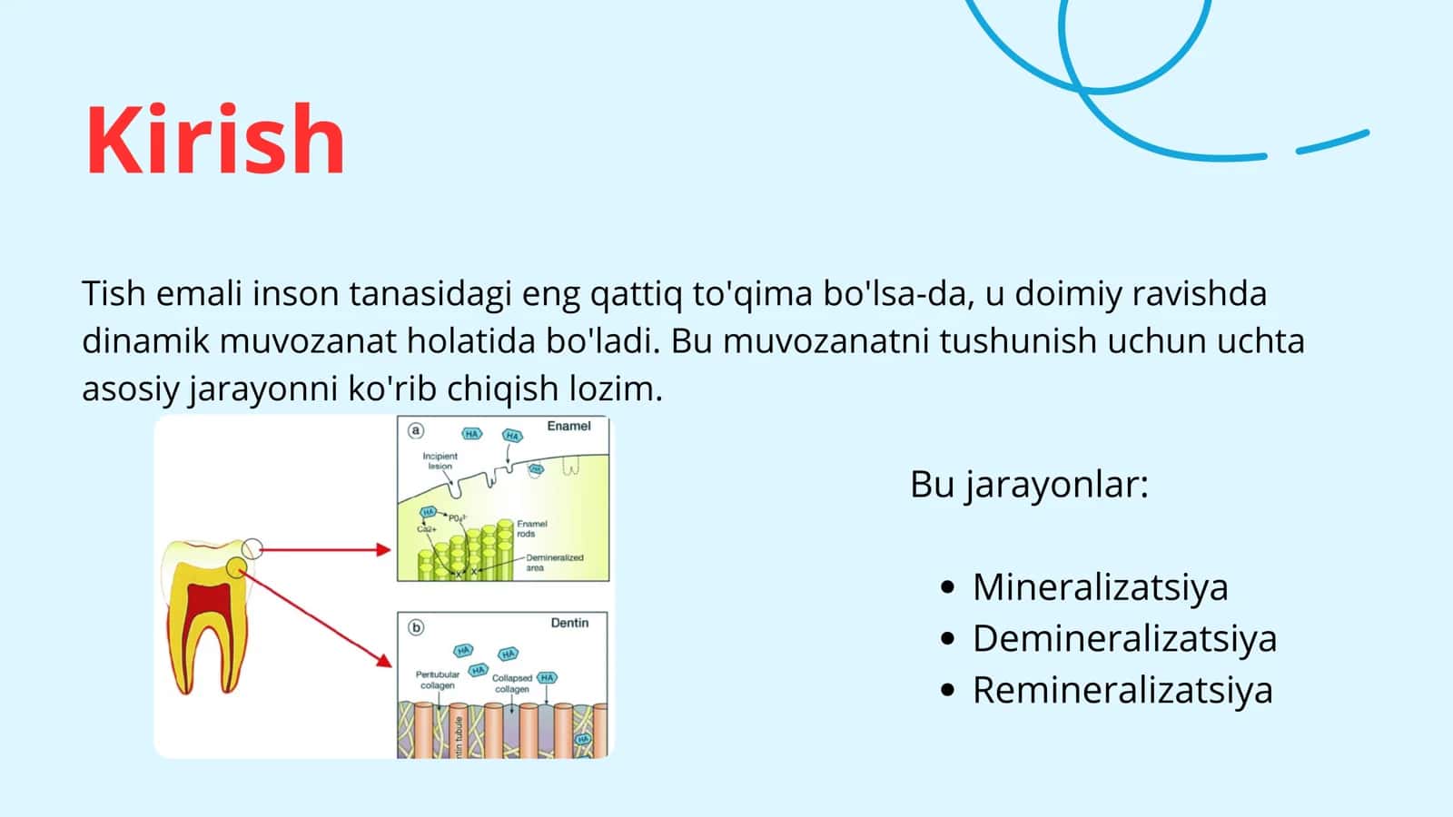Tish emali mineralizatsiya, demineralizatsiya va remineralizatsiya jarayonlari 3