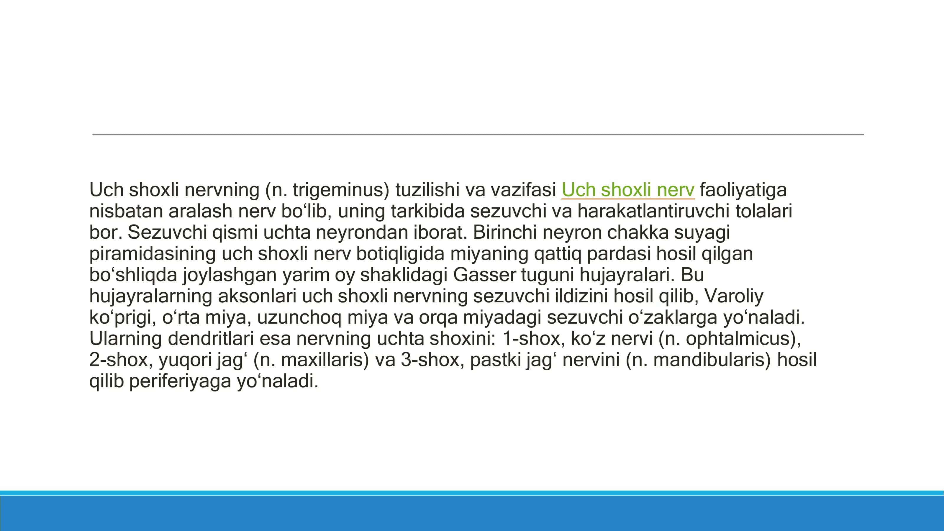 Bosh miyanervlari 3
