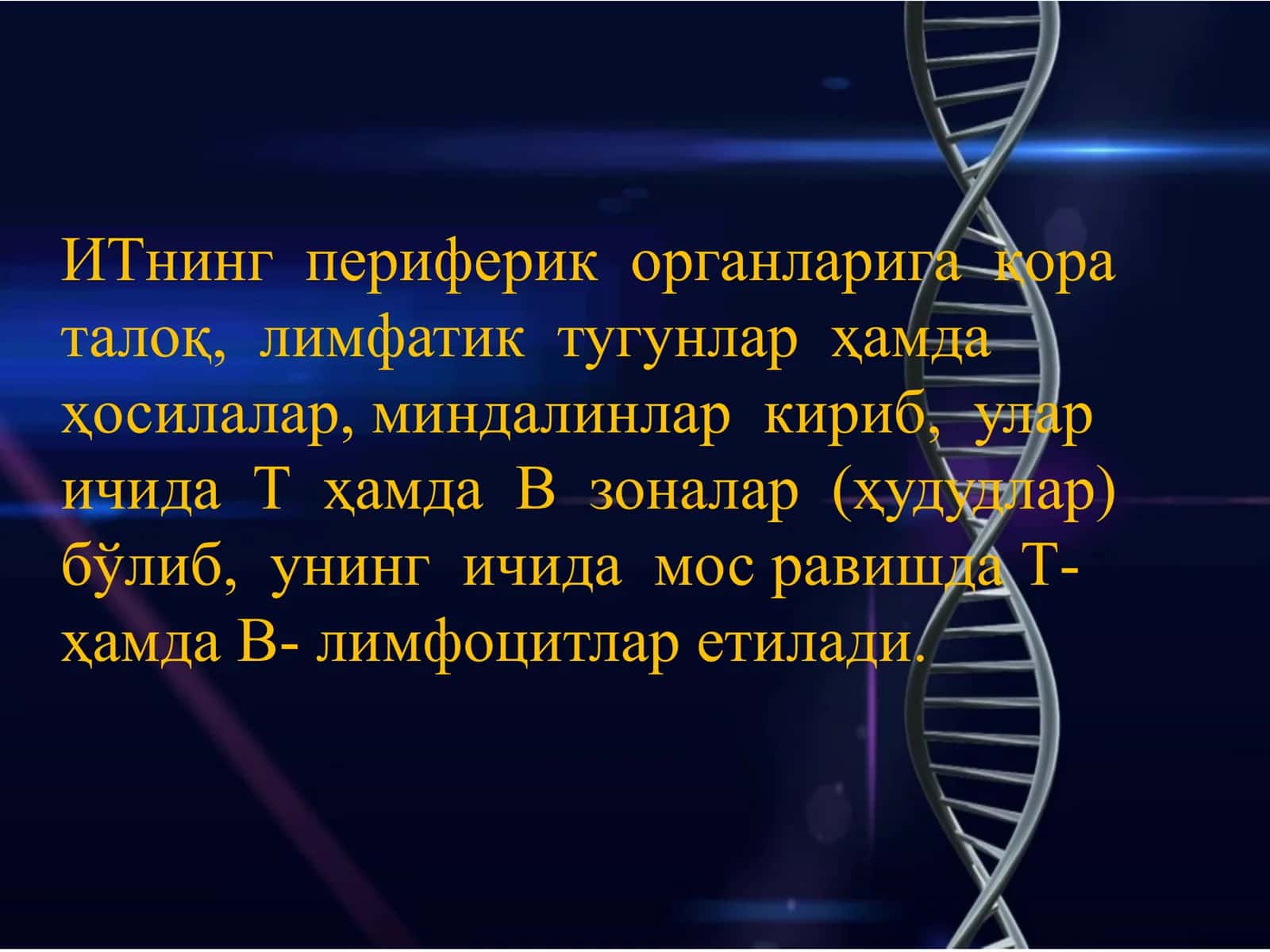 Imun tizimining periferik organlari 3