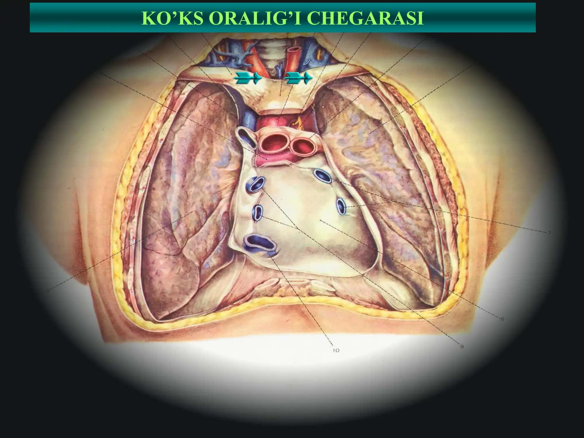 Ko‘ks oralig‘i va diafragma kasalliklari. 3