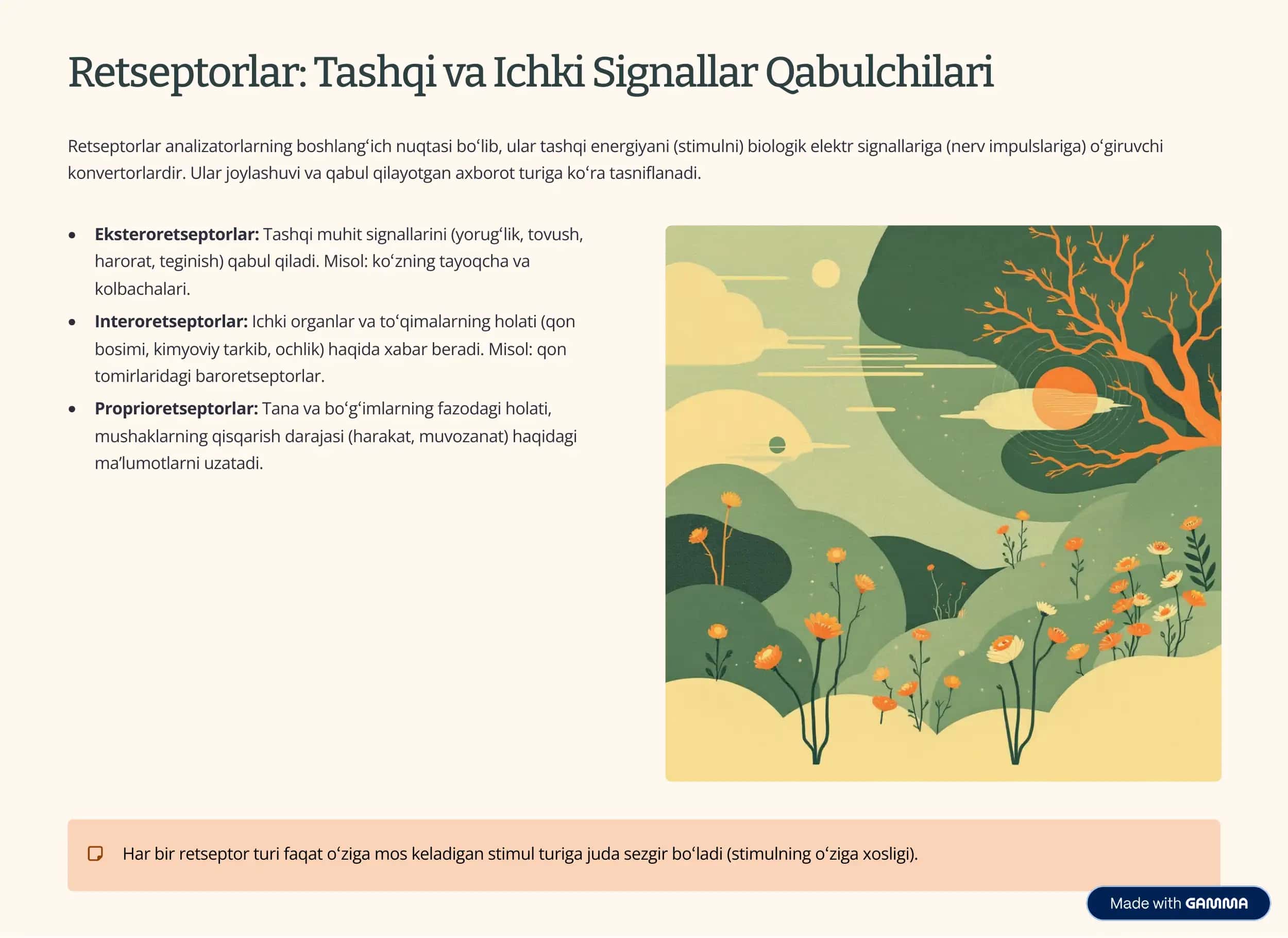 Analizatorlar Fiziologiyasi: Sensor Idrok Olami 3