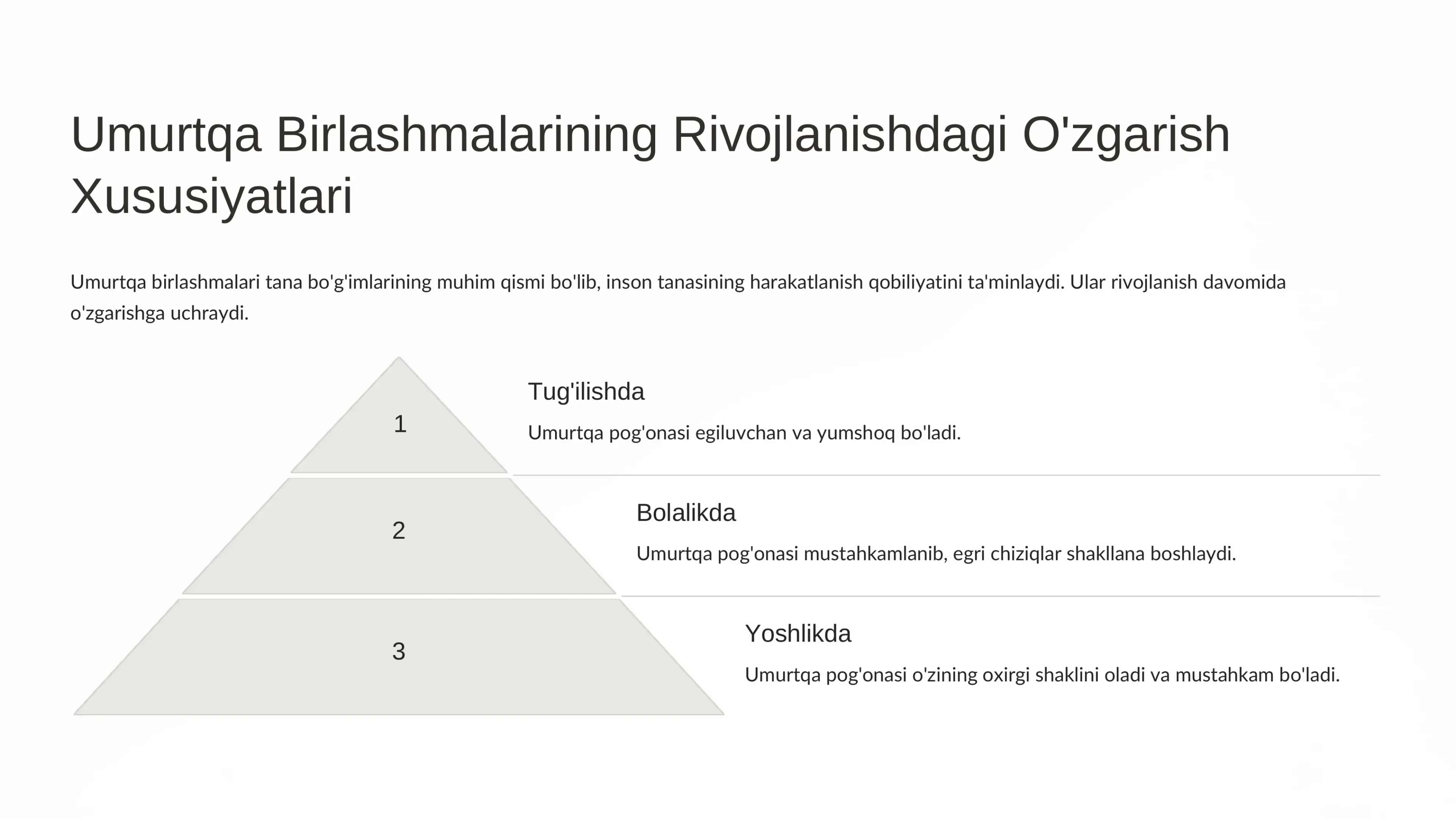 Tana Bo'g'imlarining Rivojlanishi 3